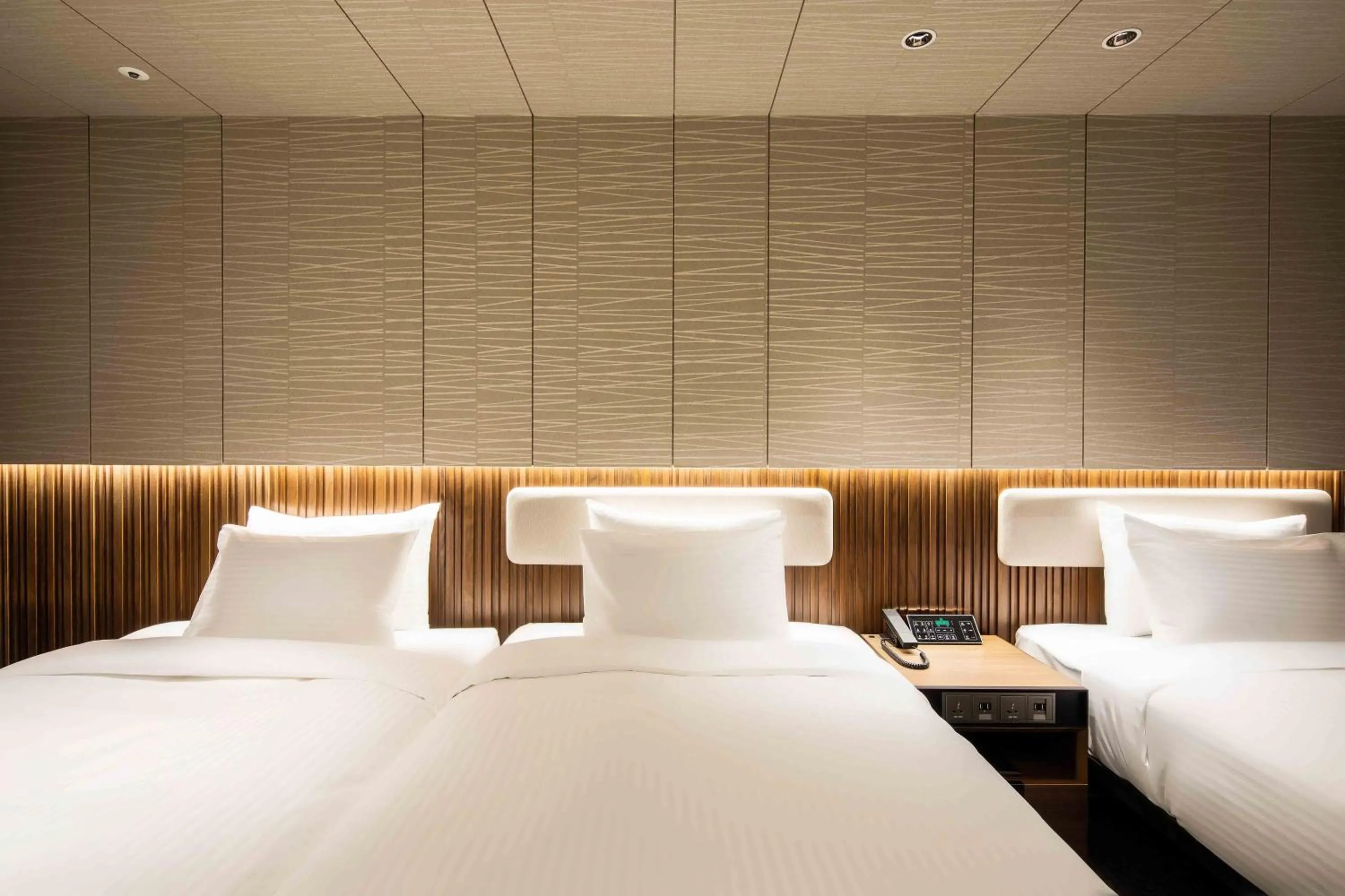 Deluxe Twin Room for 3 Pax in Sotetsu Fresa Inn Seoul Myeong-dong