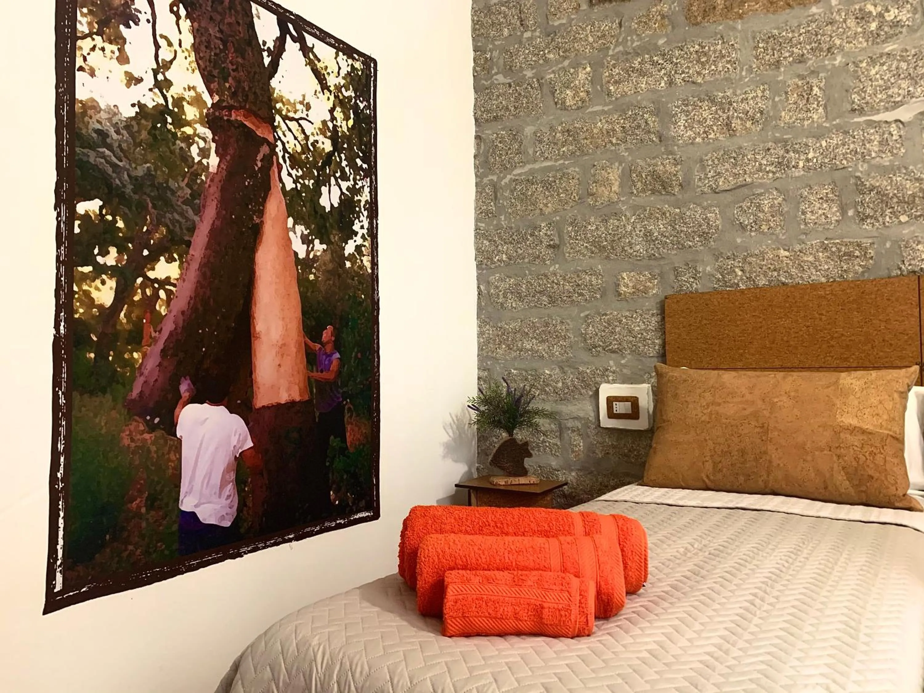 Double or Twin Room with Private External Bathroom - single occupancy in La Vecchia Posta B&B