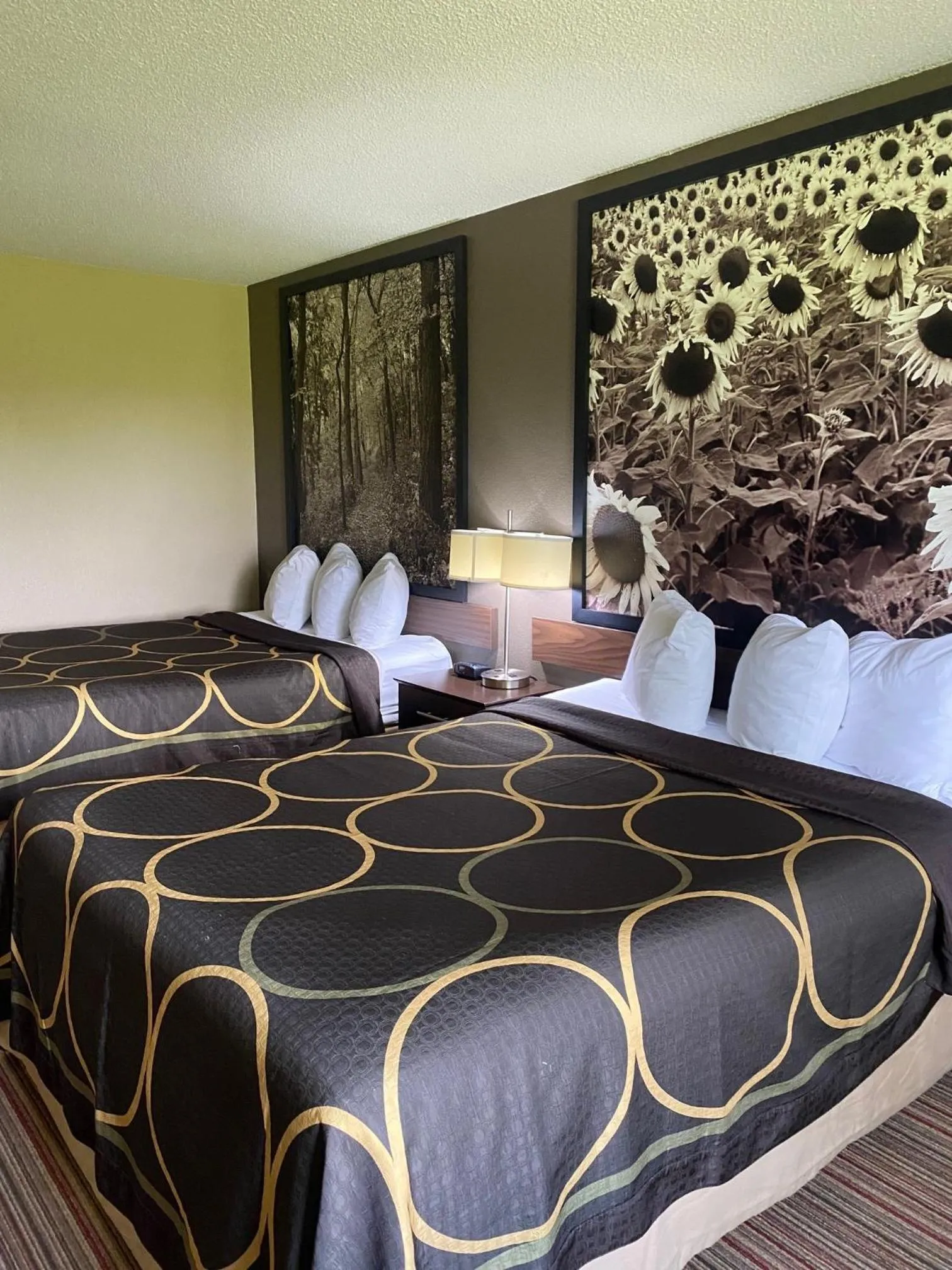 Queen Room with Two Queen Beds - Disability Access/Non-Smoking in Super 8 by Wyndham New Hampton
