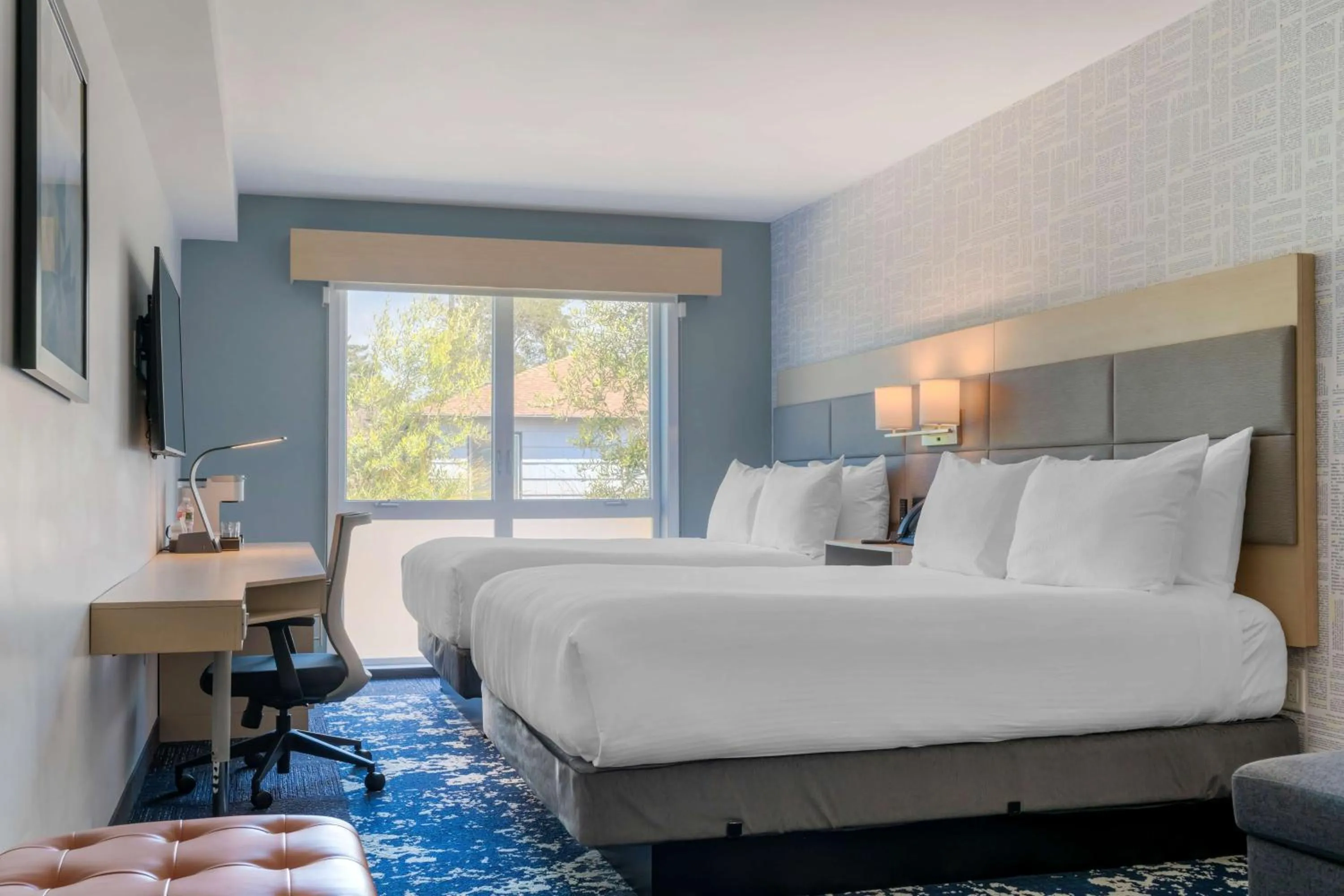 Queen Room with Roll-in Shower - Mobility Accessible in Aiden by Best Western Berkeley