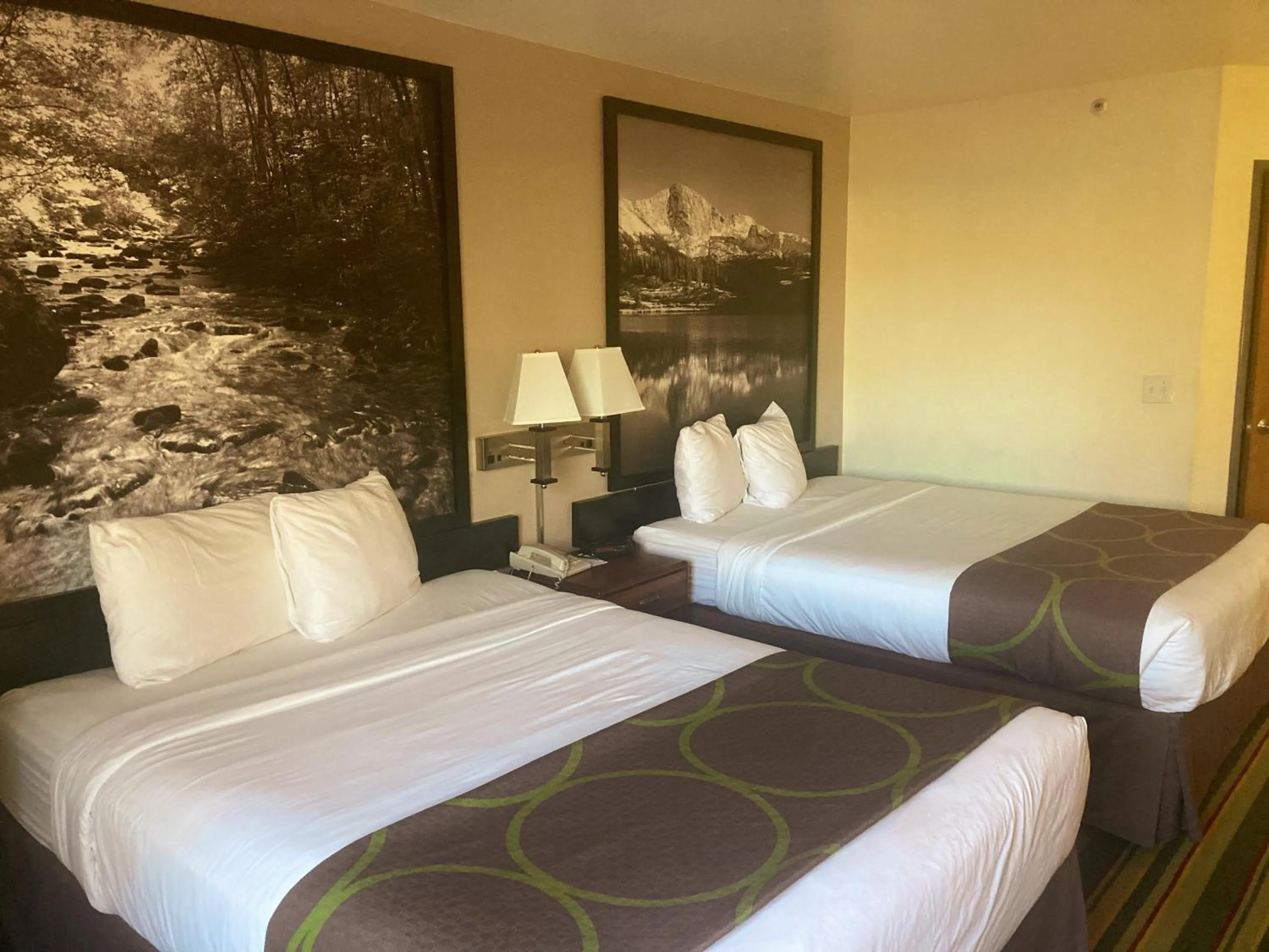 Queen Room with Two Queen Beds - Non-Smoking in Super 8 by Wyndham Windsor