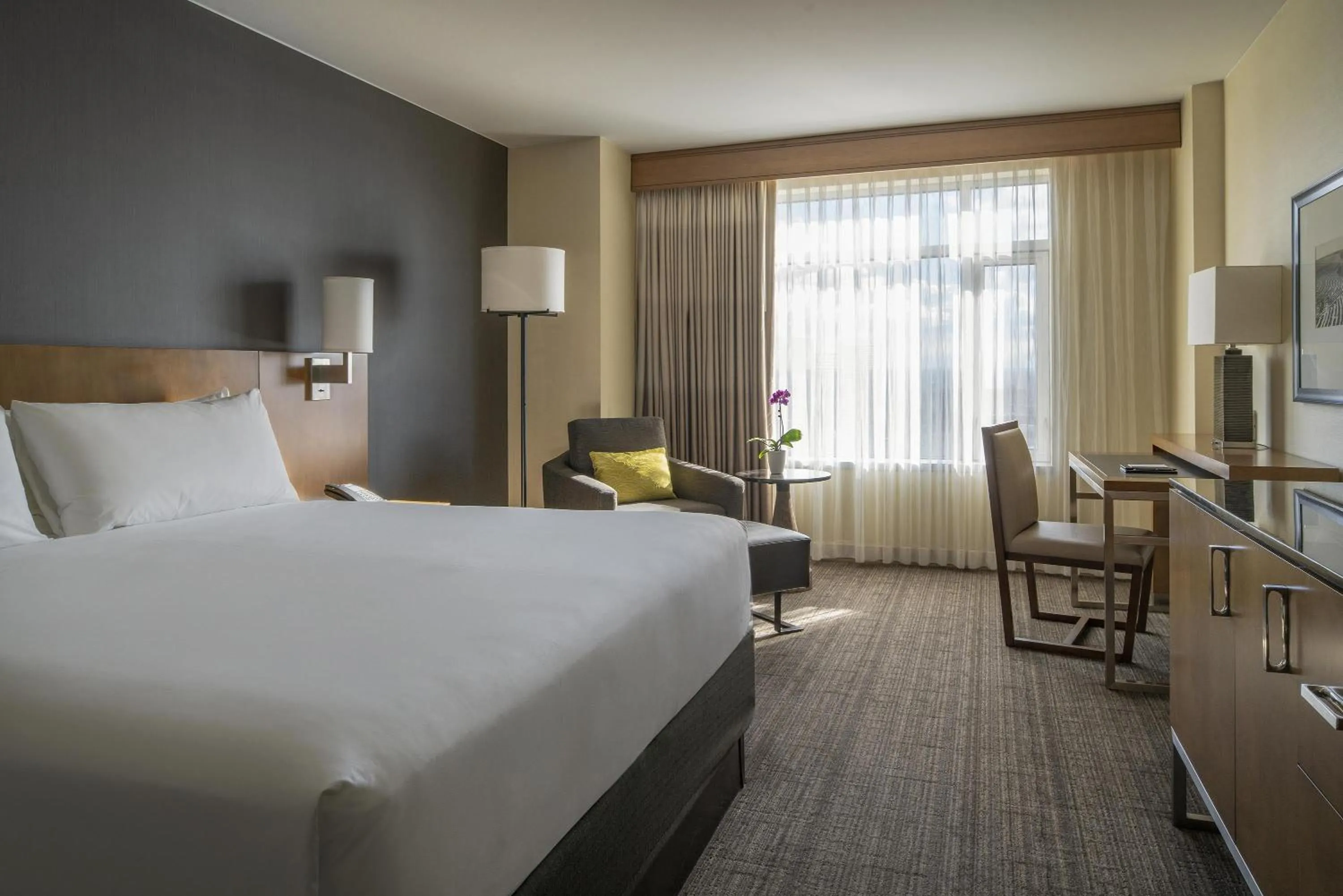 King Room in Hyatt Regency Denver at Colorado Convention Center