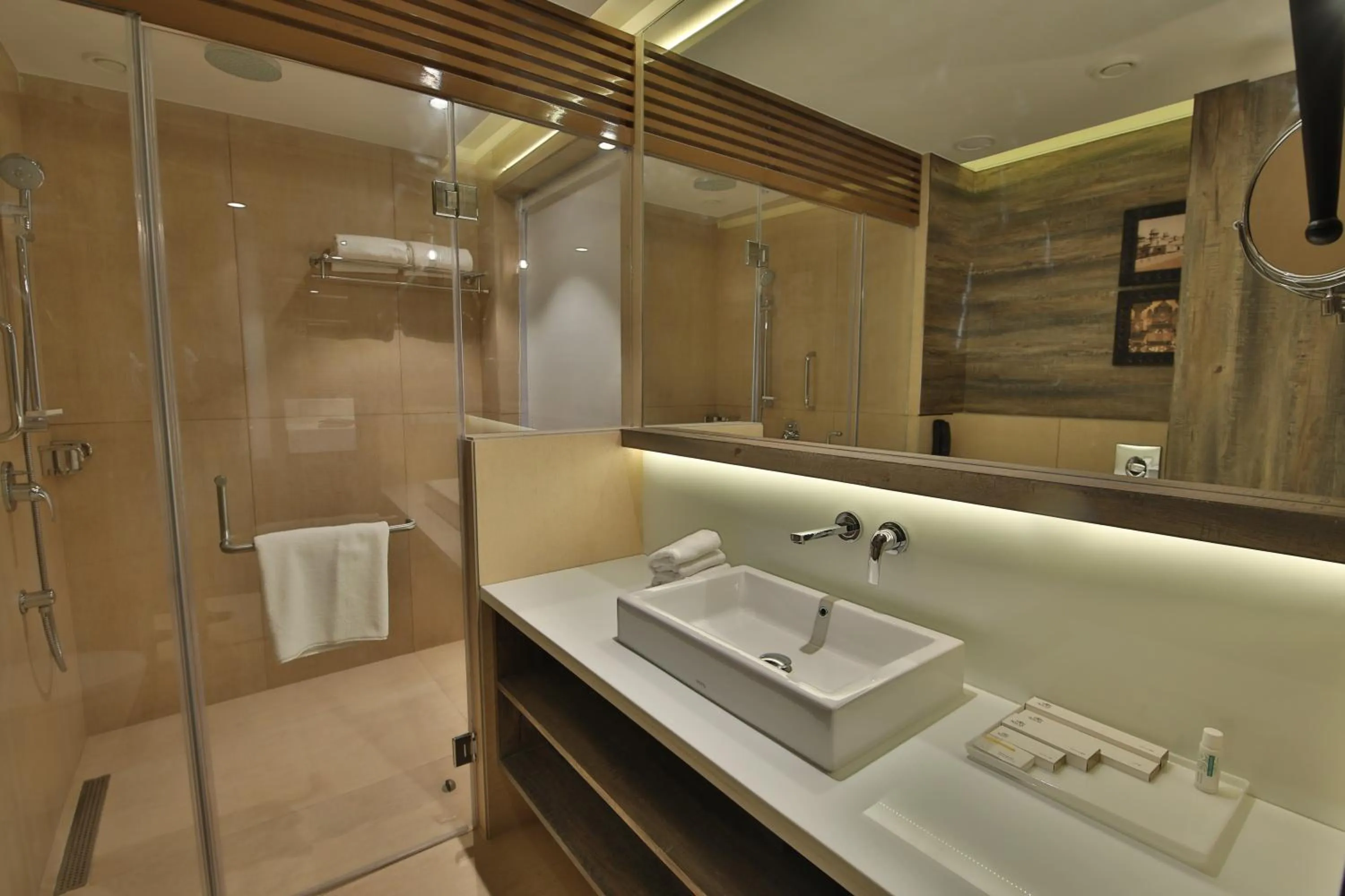 Grande Room - single occupancy in Sayaji Rajkot