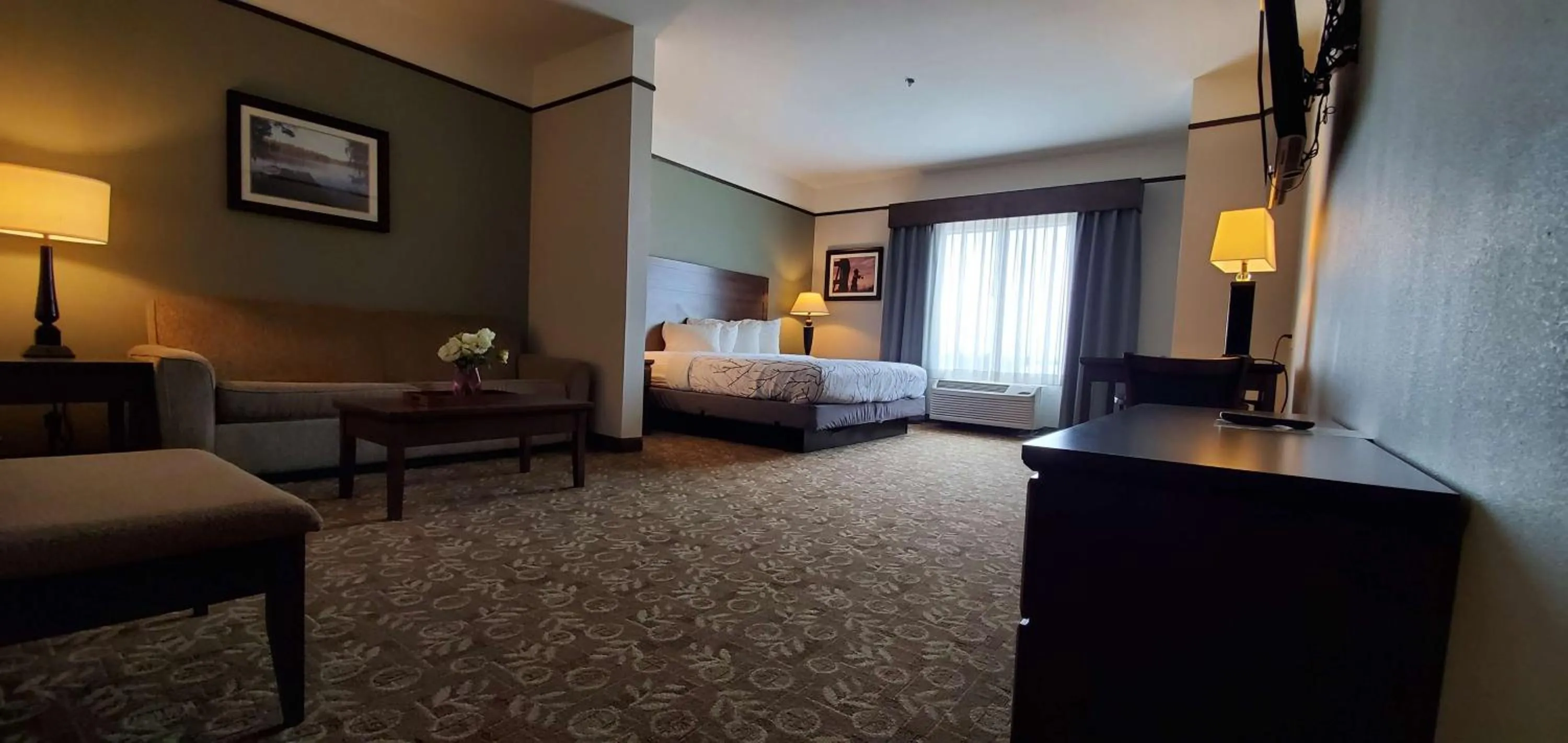 One-Bedroom King Suite with Sofa Bed - Non-Smoking in Best Western Plus Emory at Lake Fork Inn & Suites