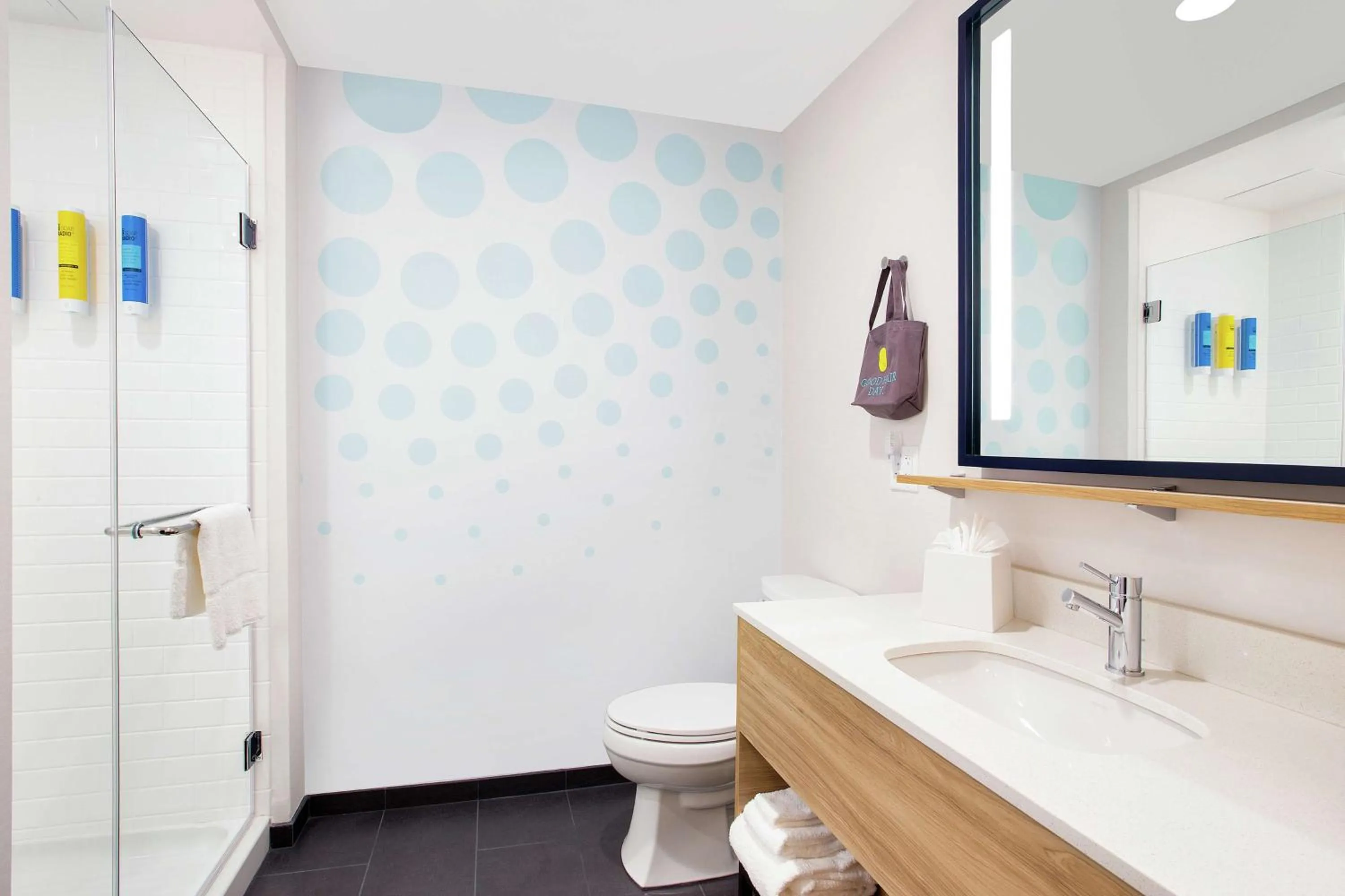 King Room in Tru By Hilton Audubon Valley Forge