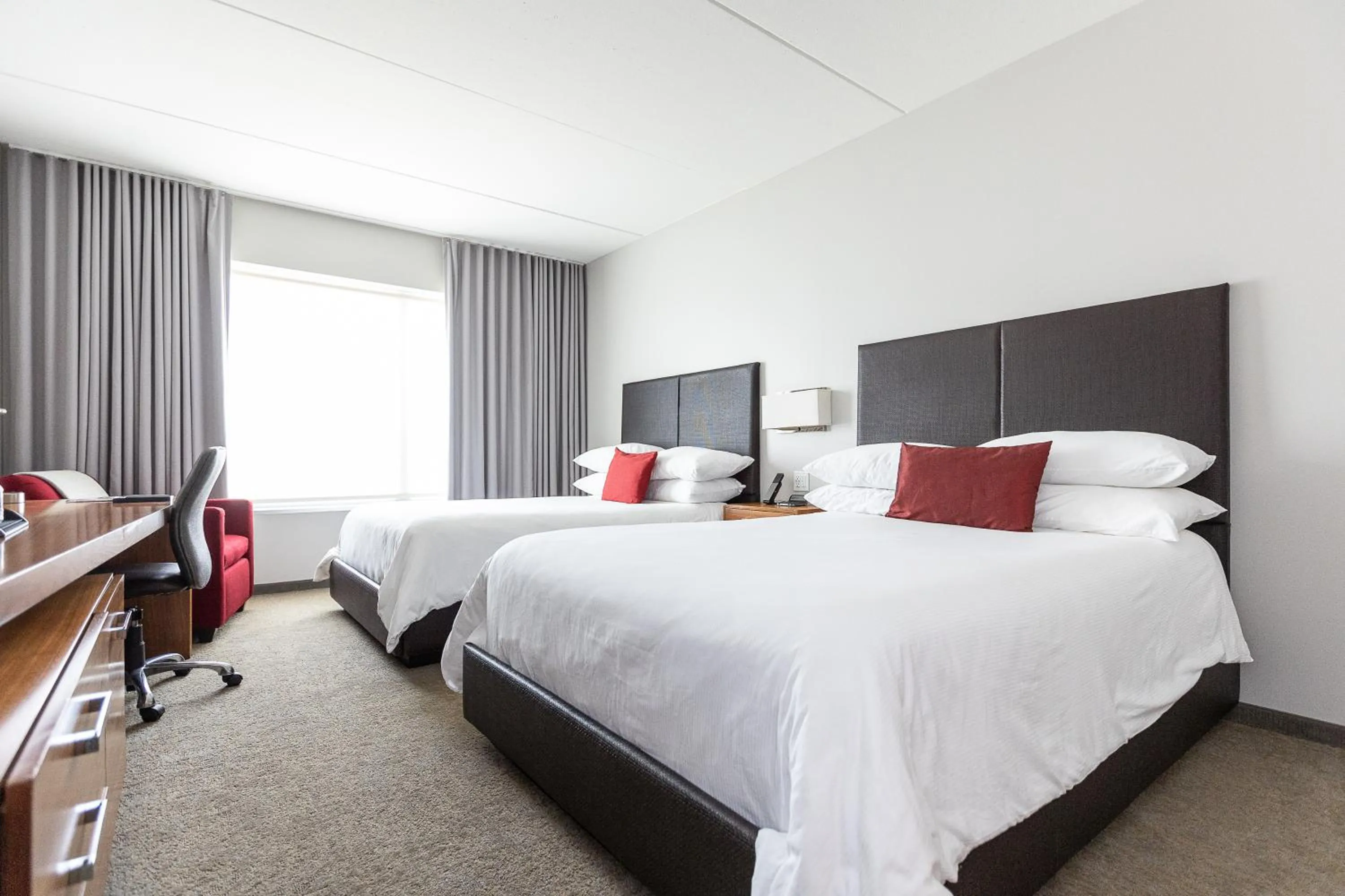 Deluxe Queen Room with Two Queen Beds in I Hotel and Illinois Conference Center - Champaign