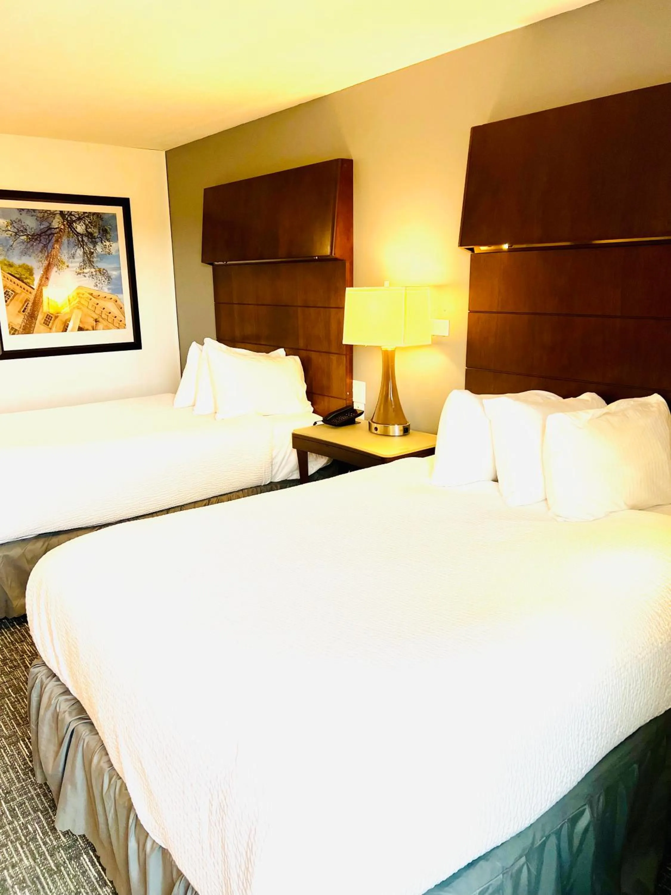 Quadruple Room with Two Queen Beds - Non Smoking in Quality Inn & Suites Caribou