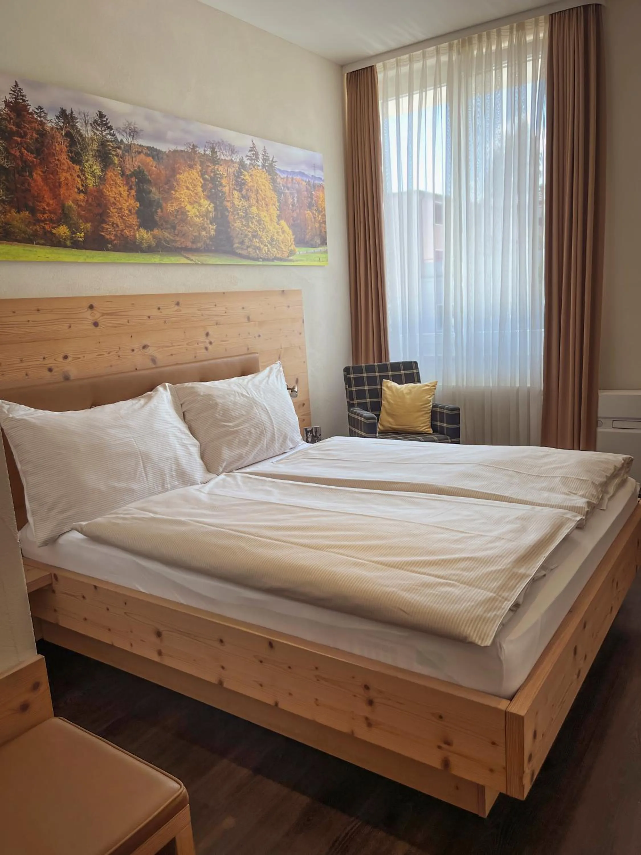 Double Room with Queen Bed in Gasthaus zur Waldegg