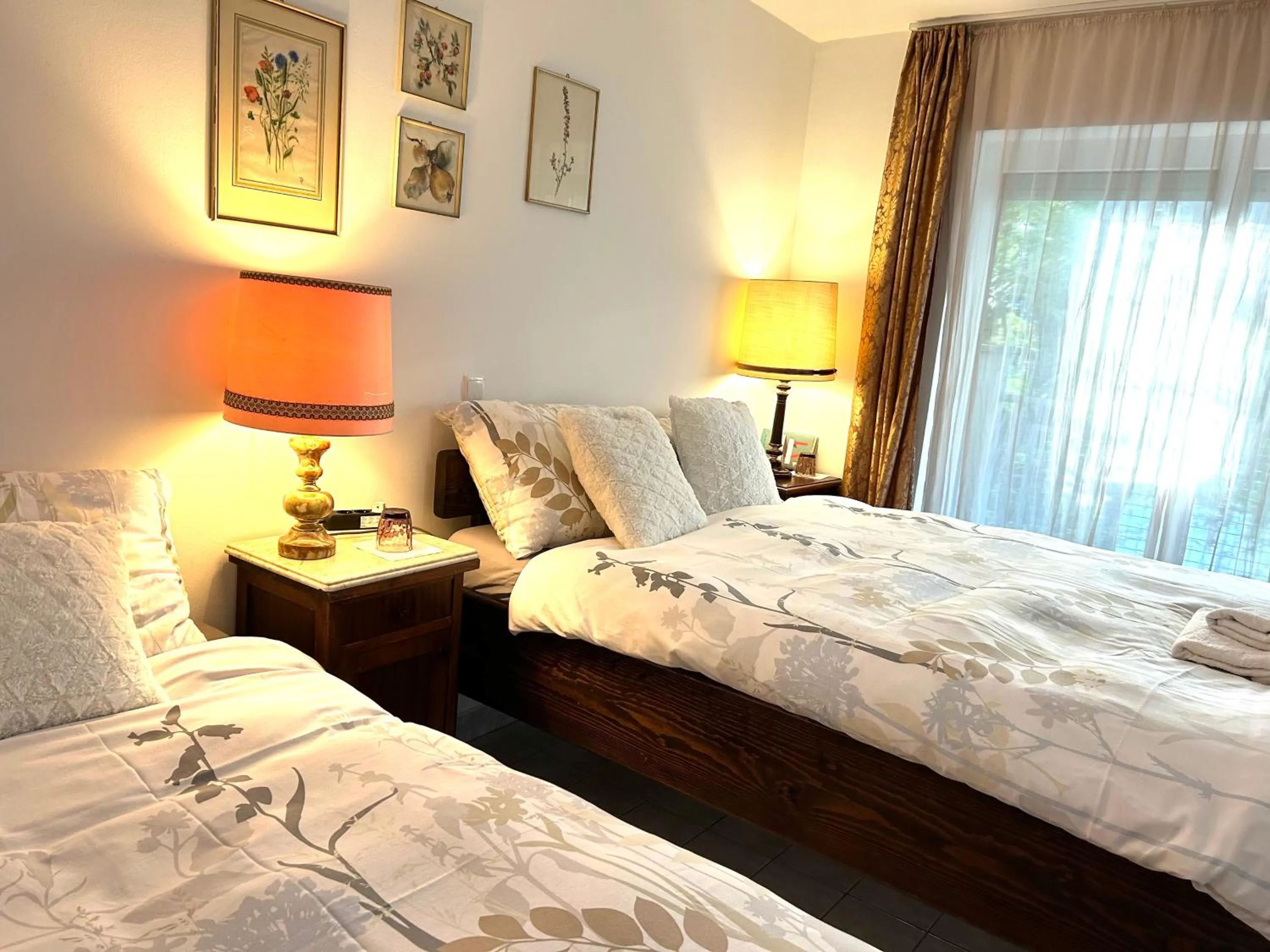 Twin Room - single occupancy in Vila Vanda Vukovar