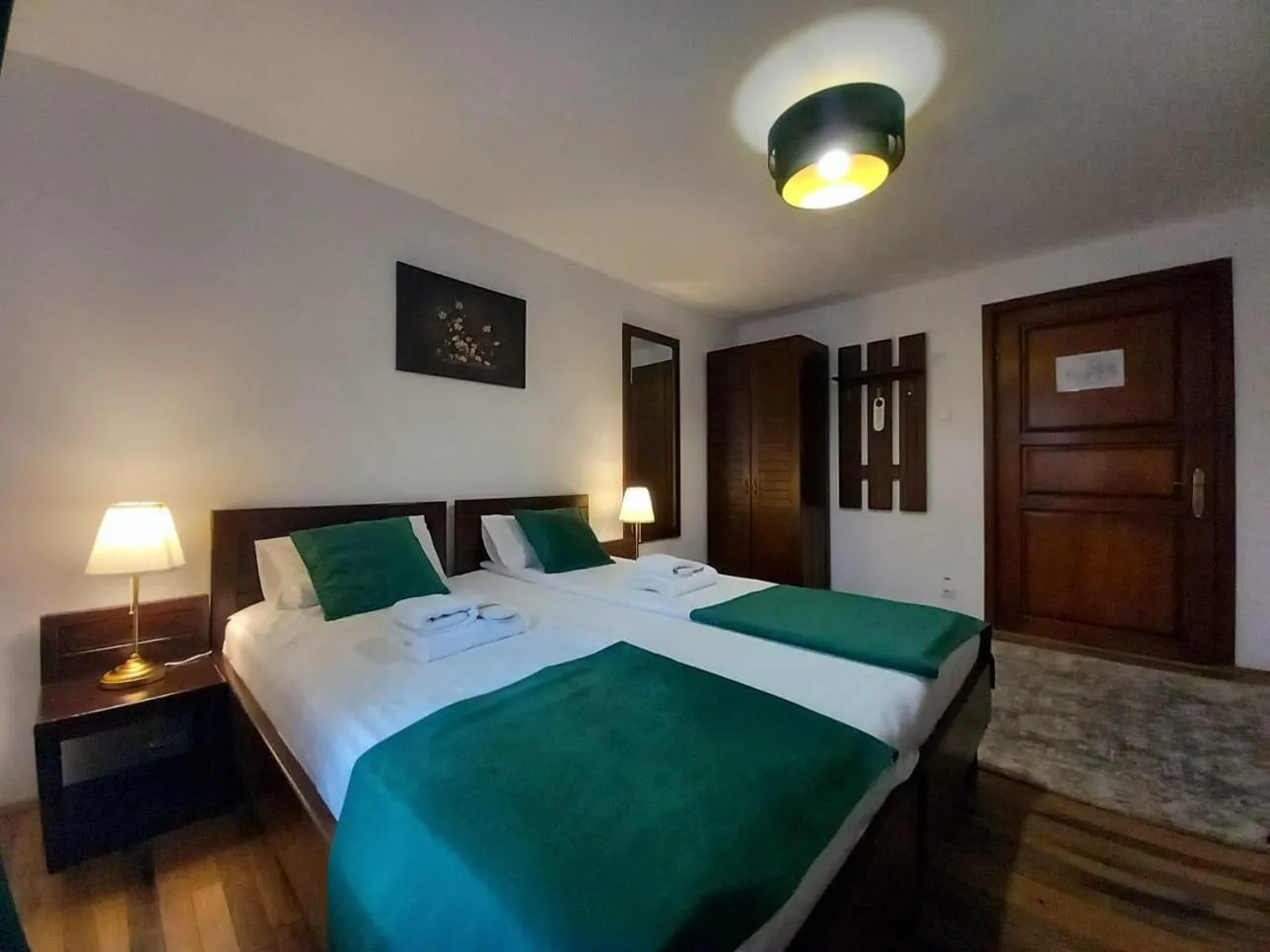 Superior Double Room in Pensiunea Rhein