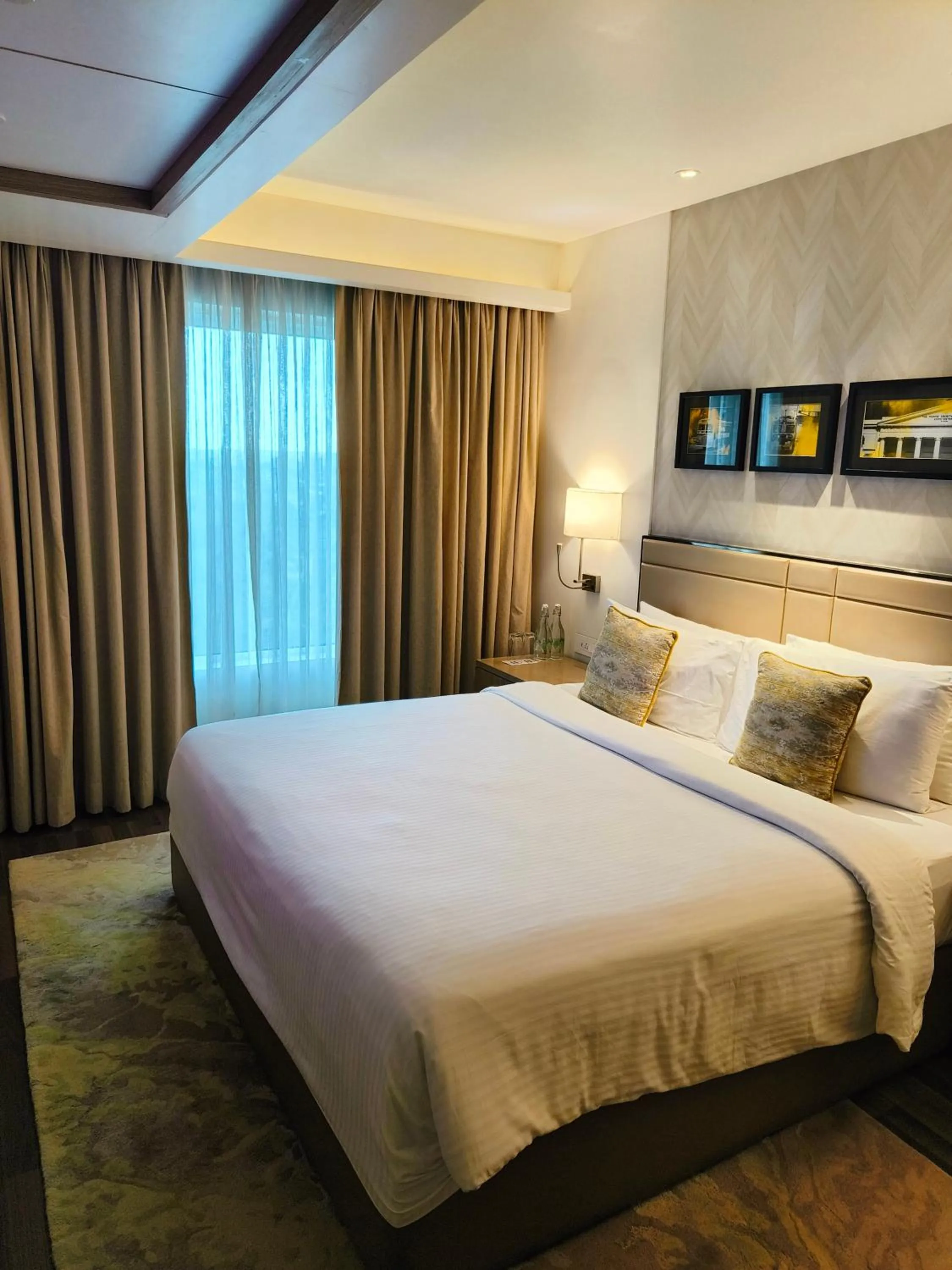 Suite Double Room - single occupancy in Royal Hometel Suites