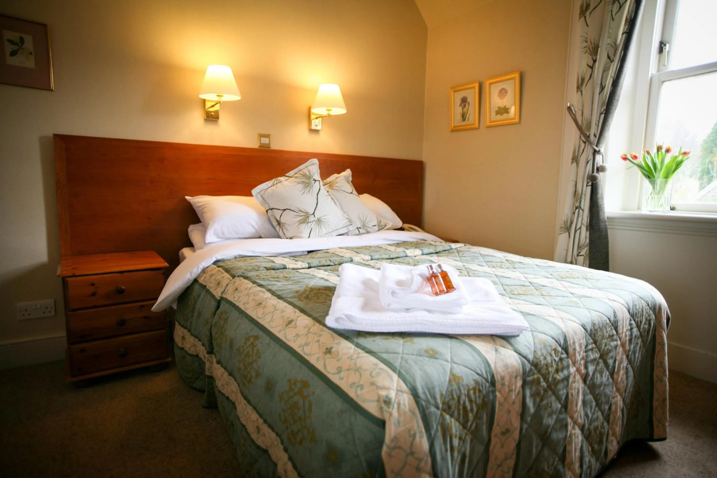 Standard Double Room in The Tomich Hotel