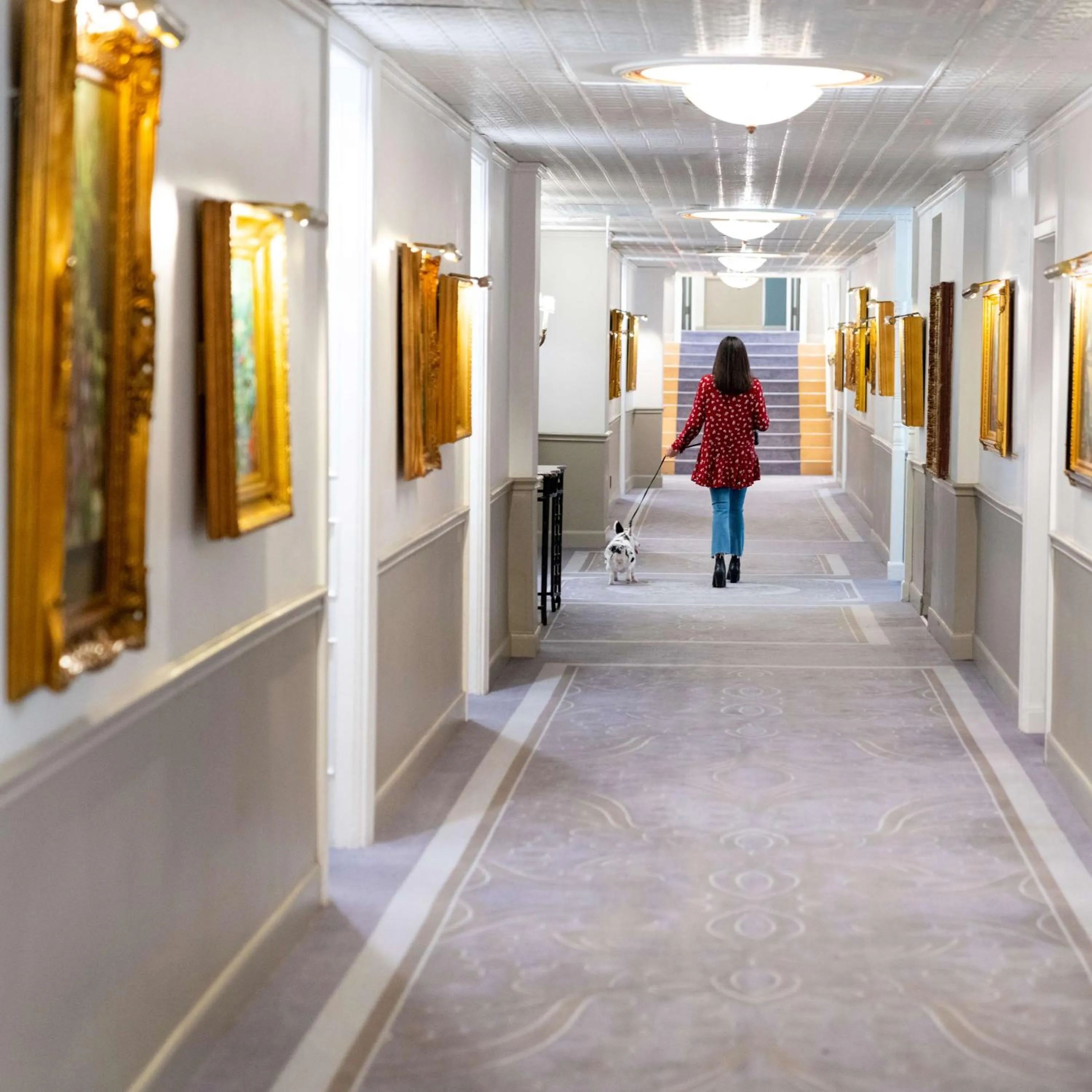 Deluxe King Room in The Driskill