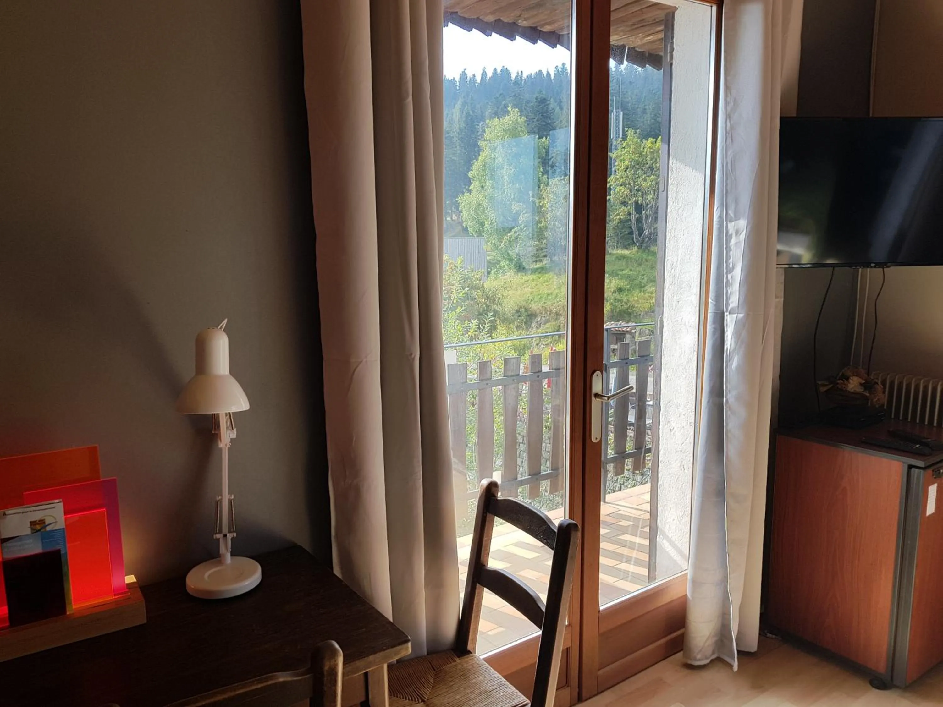 Double Room in Hôtel Les Chamois