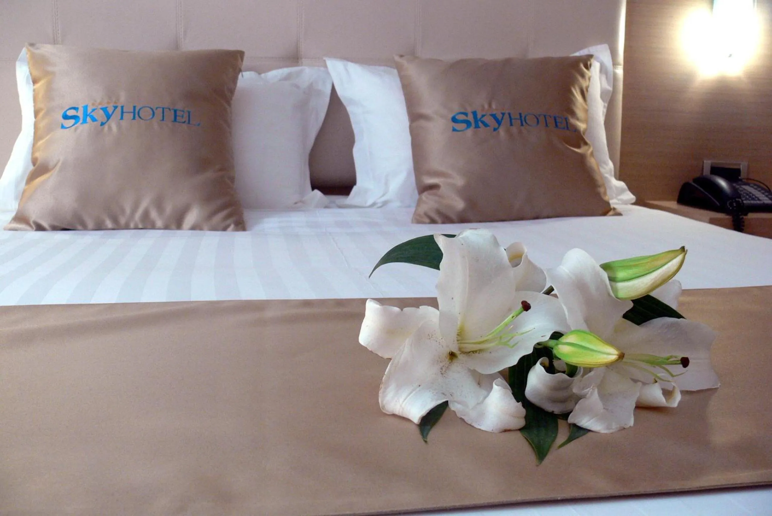 Double Room in Sky 2 Hotel Tirana