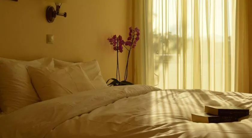 Standard Double or Twin Room in Alexakis Hotel & Spa