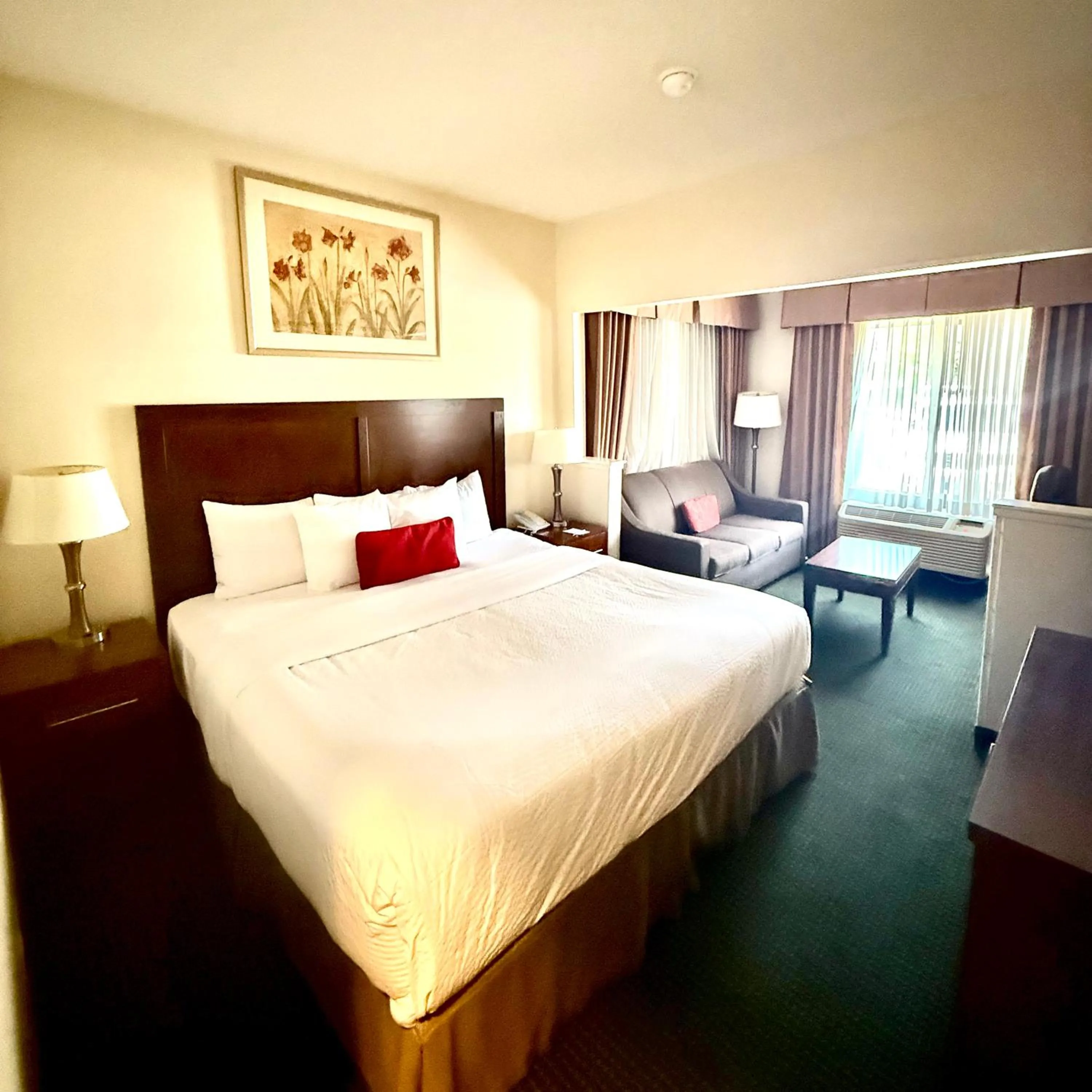 King Suite- Non-Smoking in Ramada by Wyndham Denver International Airport