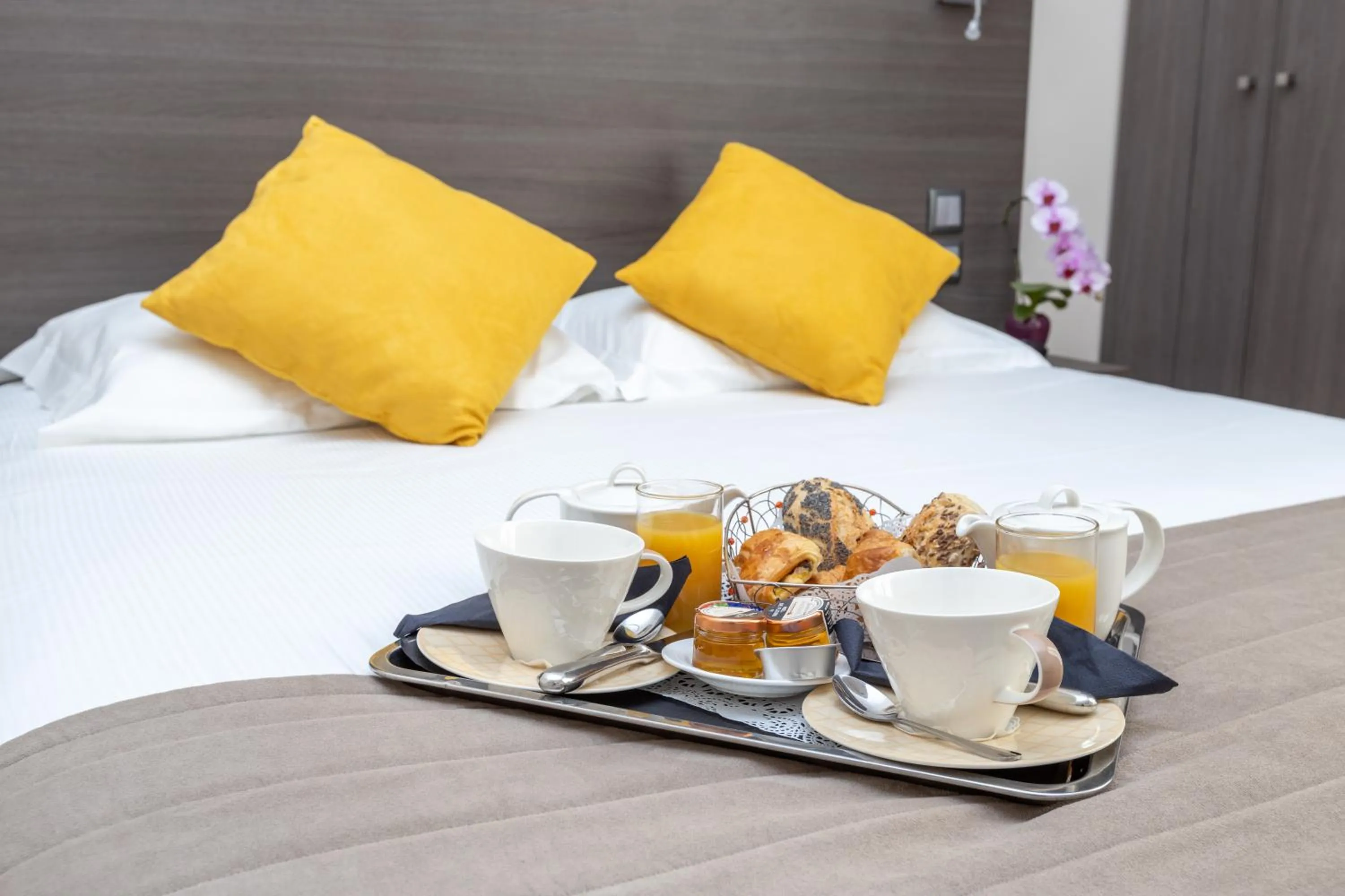 Double Room in Hôtel Le Beaugency