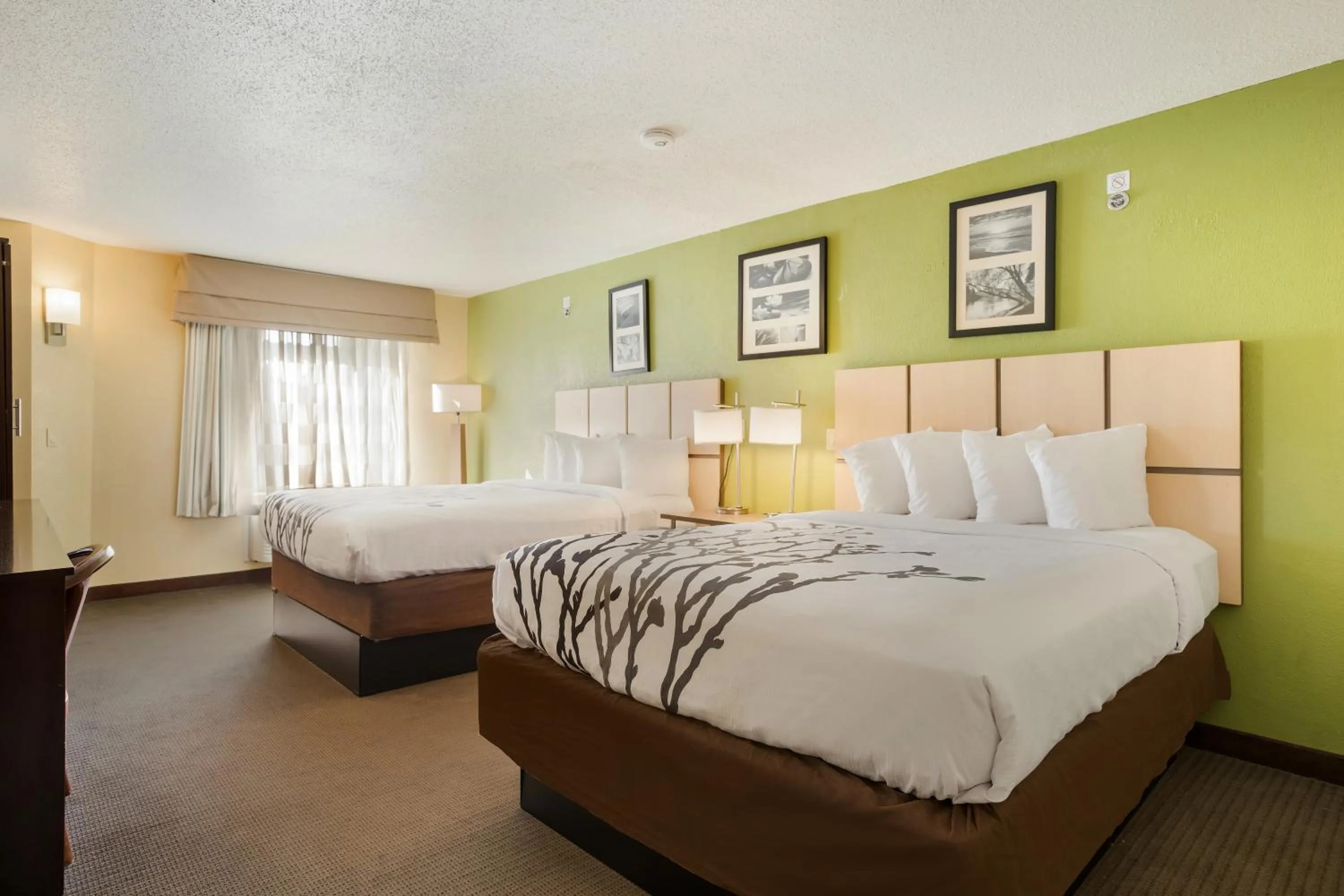 Double Room with Two Double Beds - Accessible/Non-Smoking in Sleep Inn & Suites Grand Rapids Southeast - Kentwood