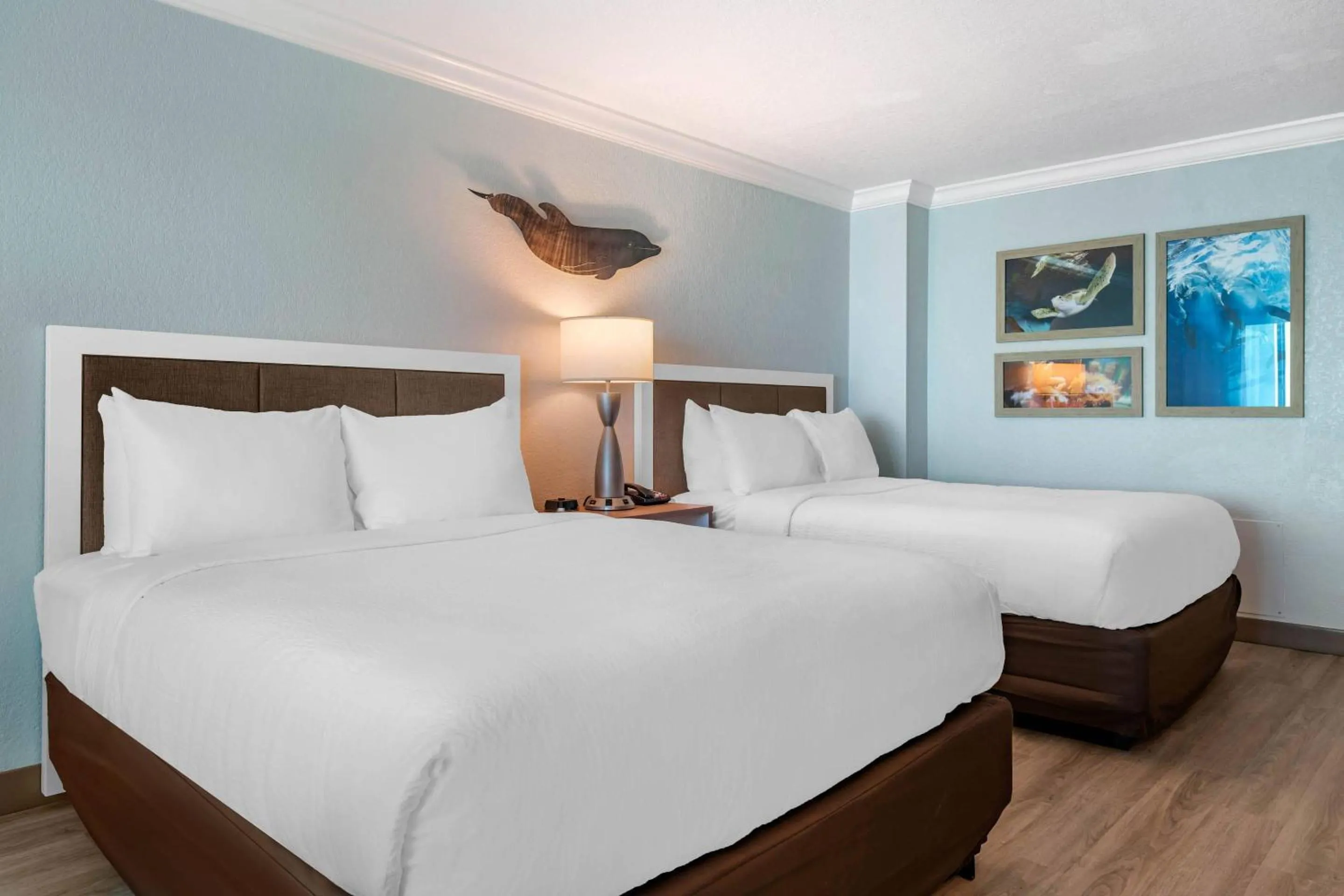 Superior Queen Suite with Two Queen Beds - Accessible/Non-Smoking in Dolphin Sands Clearwater Beach, an Ascend Collection Hotel