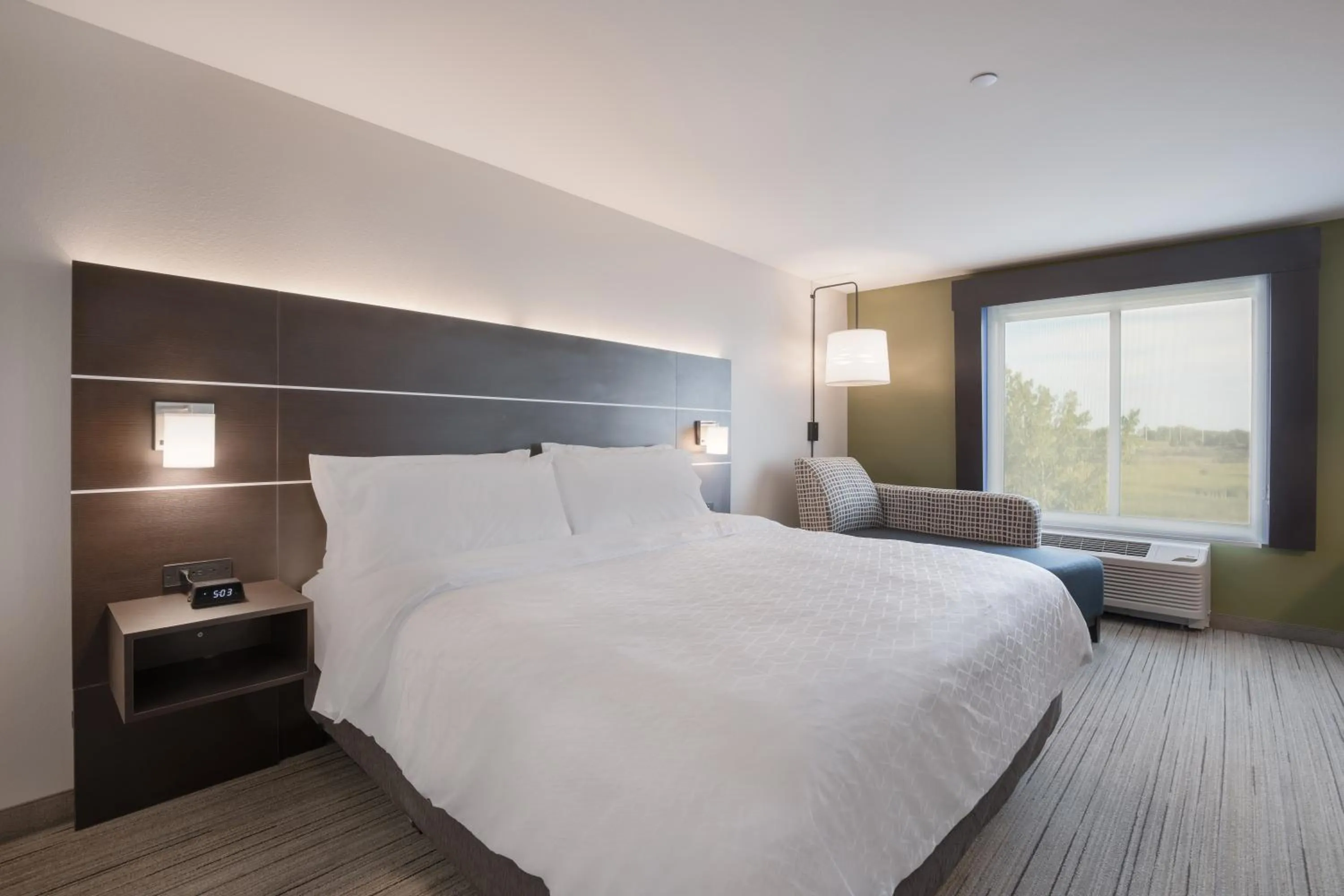 Standard King Room in Holiday Inn Express & Suites Chicago - Hoffman Estates by IHG