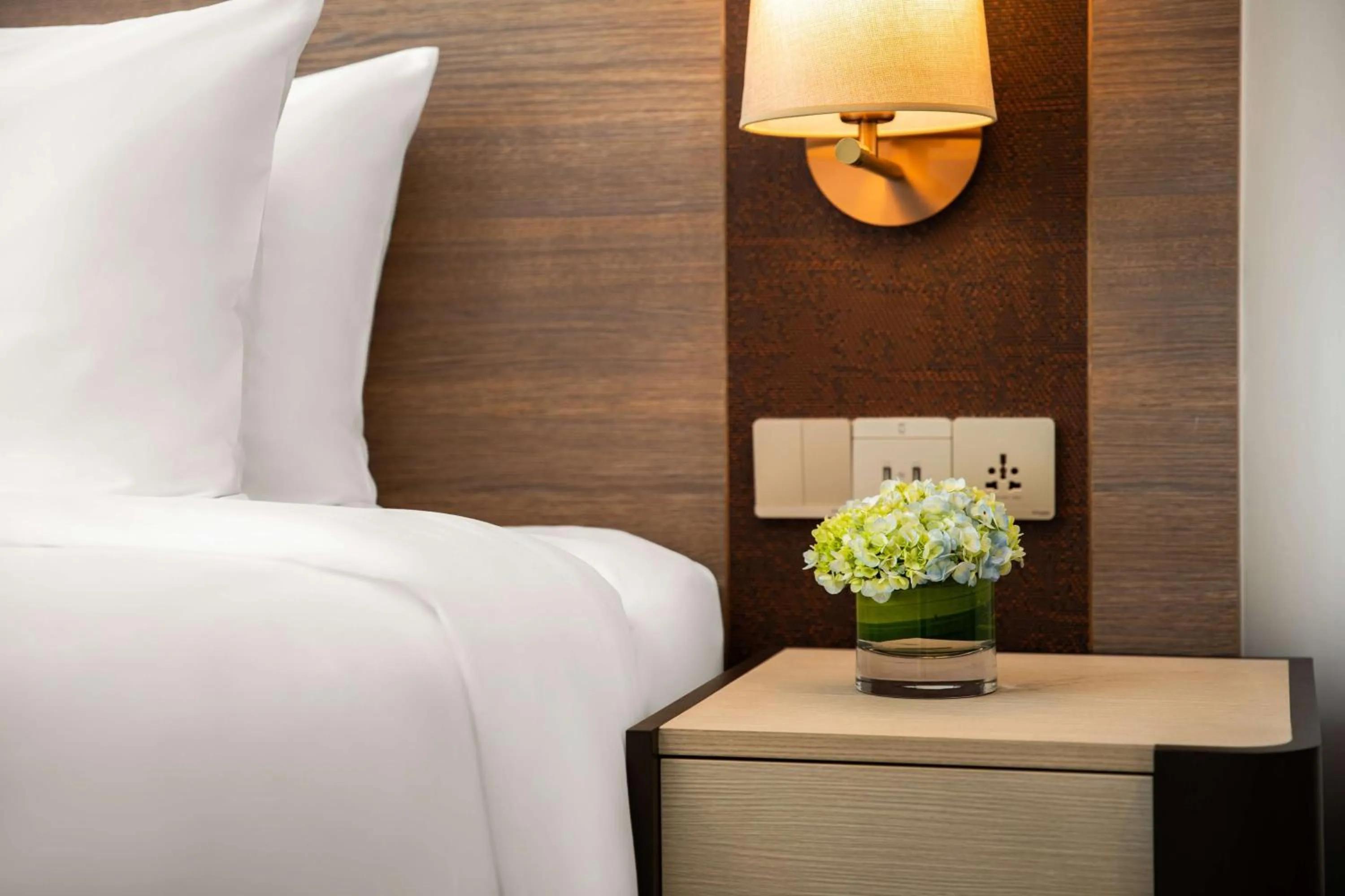 Grand Plaza Room with 20% disc on food and beverage at The Great Kebab Factory in Park Plaza Gurgaon