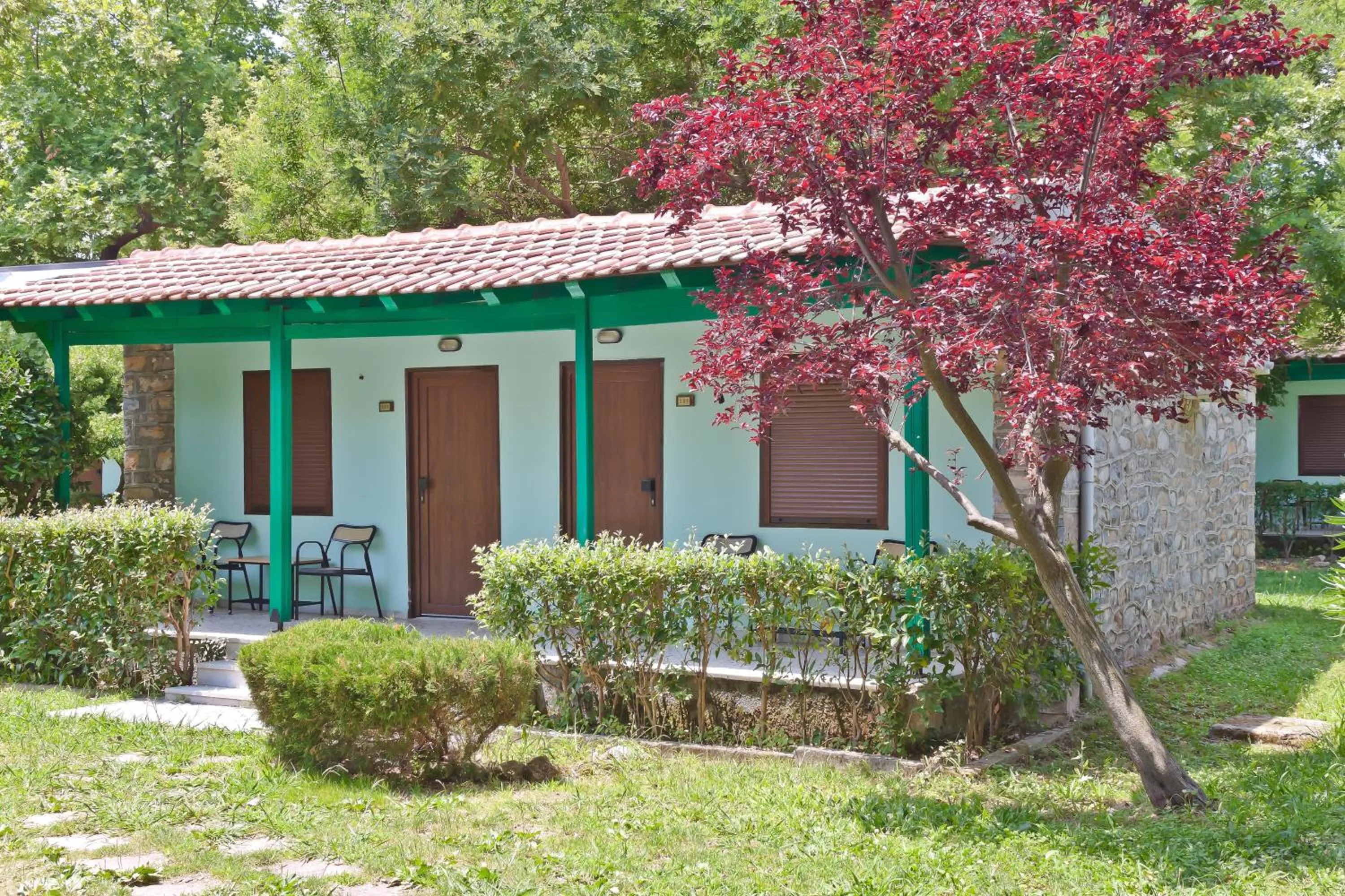 Standard Double Room in Olympios Zeus