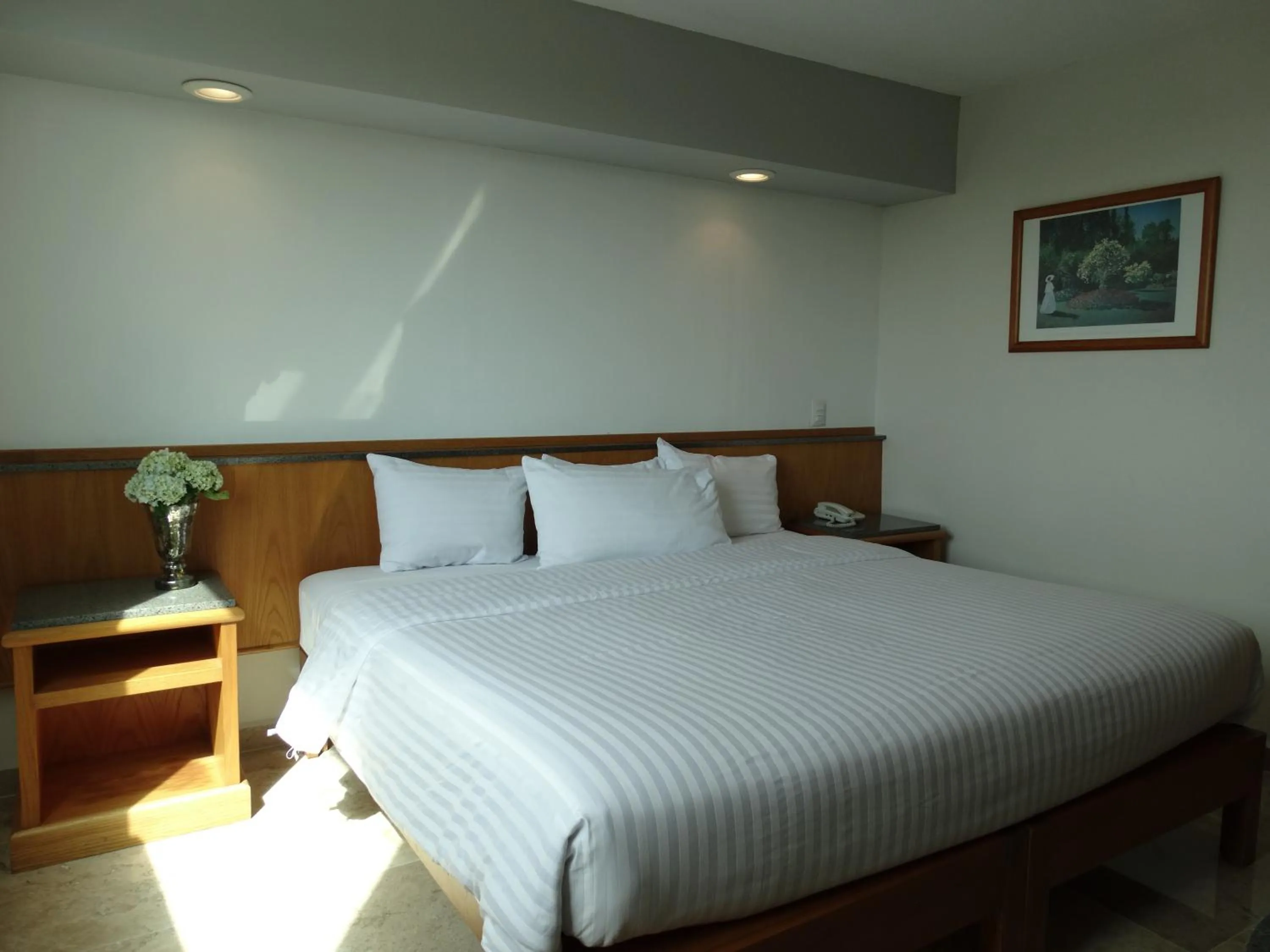 Standard  Room - single occupancy in Hotel Amberes