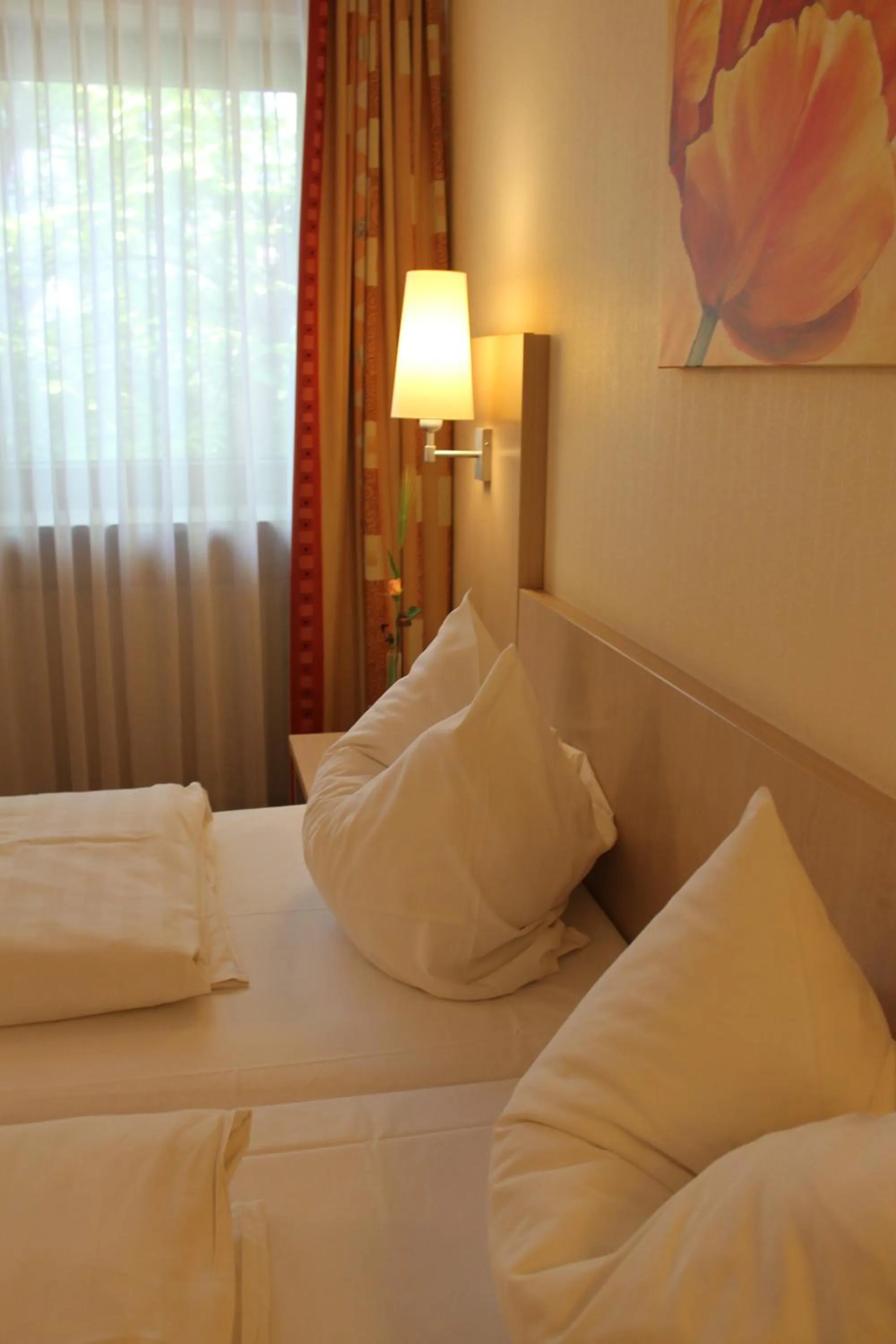 Double or Twin Room in Hotel Petzengarten