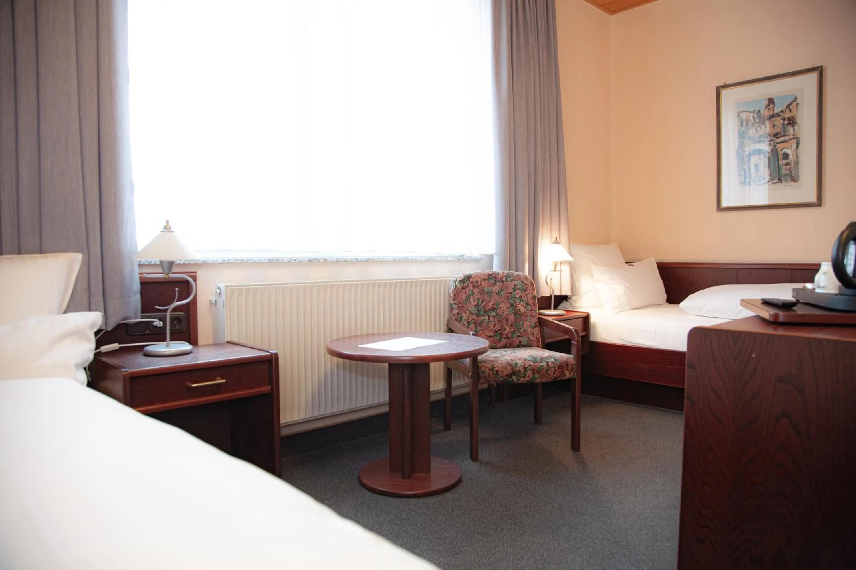 Twin Room - single occupancy in Hotel Lonac