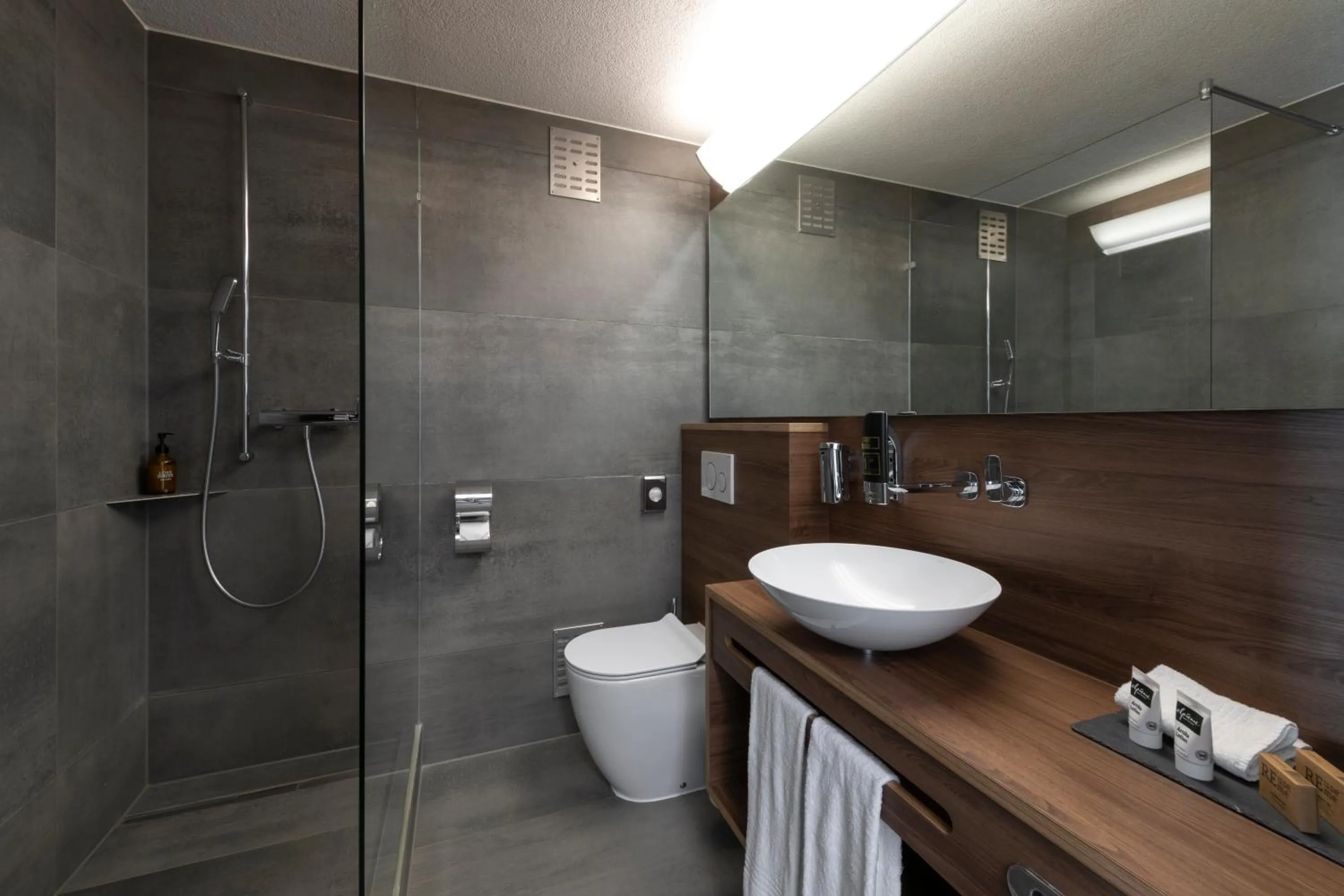 Grand-Lit Room in Hotel Alexander