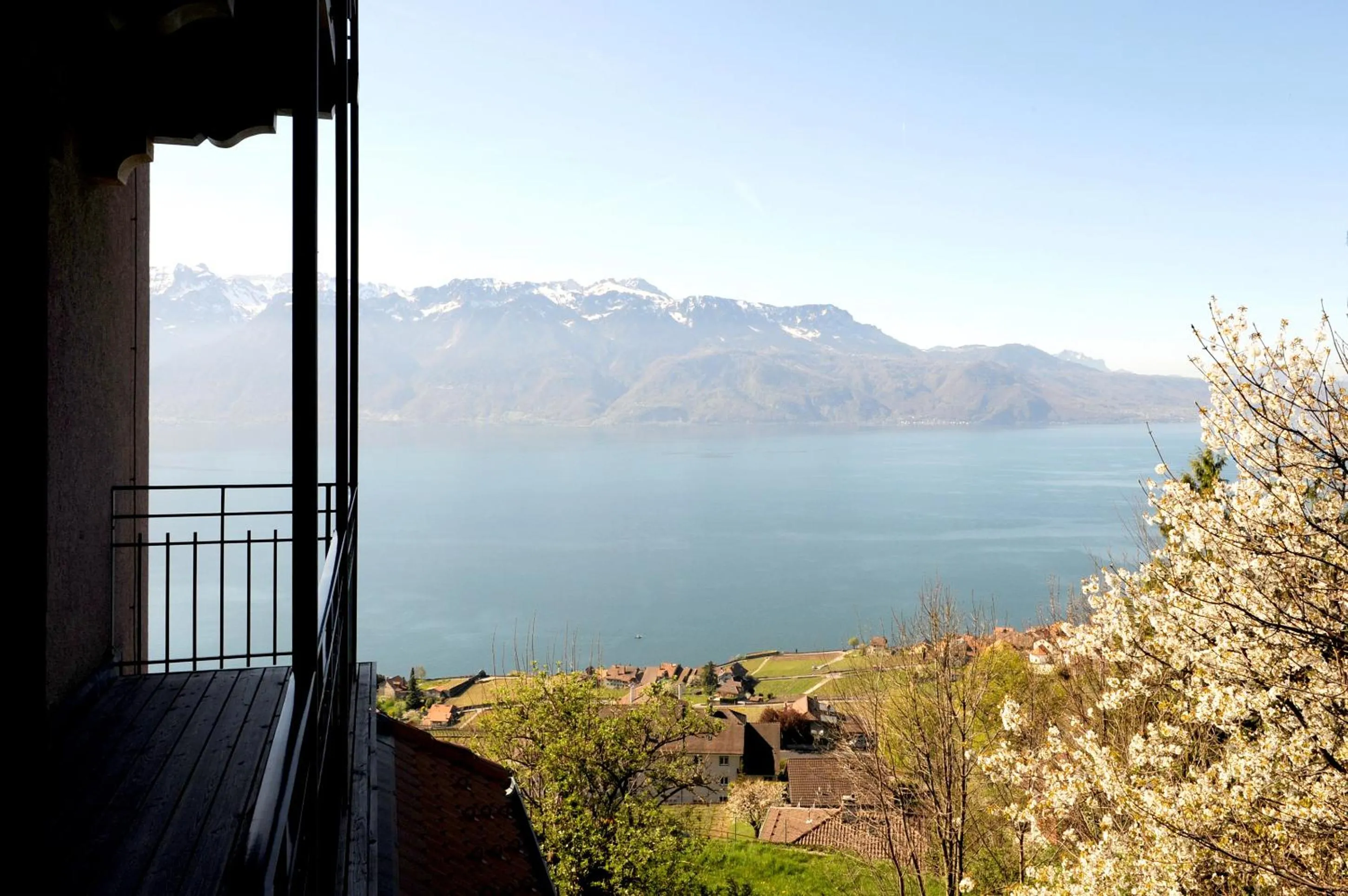 Junior Suite with Balcony in Hôtel Prealpina