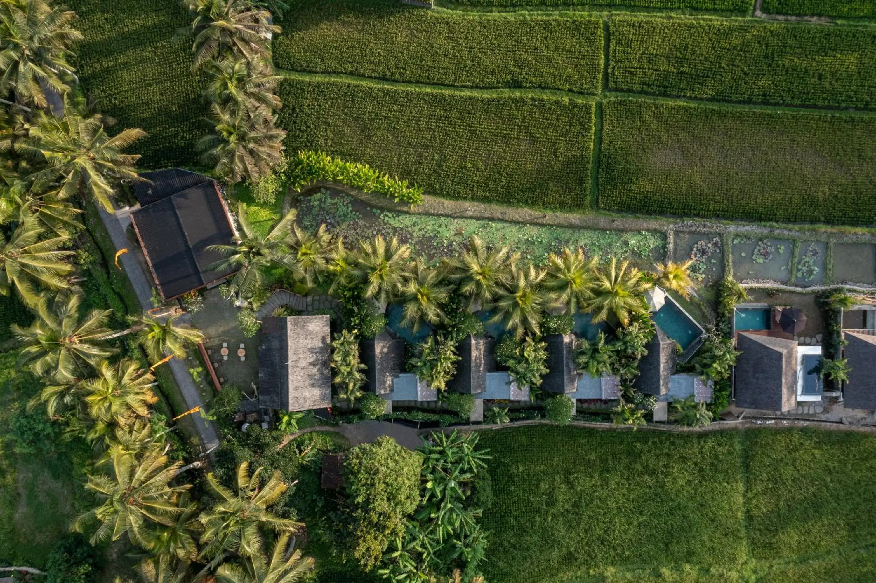 Lasamana Villas Ubud by Pramana Villas Lasamana Villas Ubud by Pramana Villas