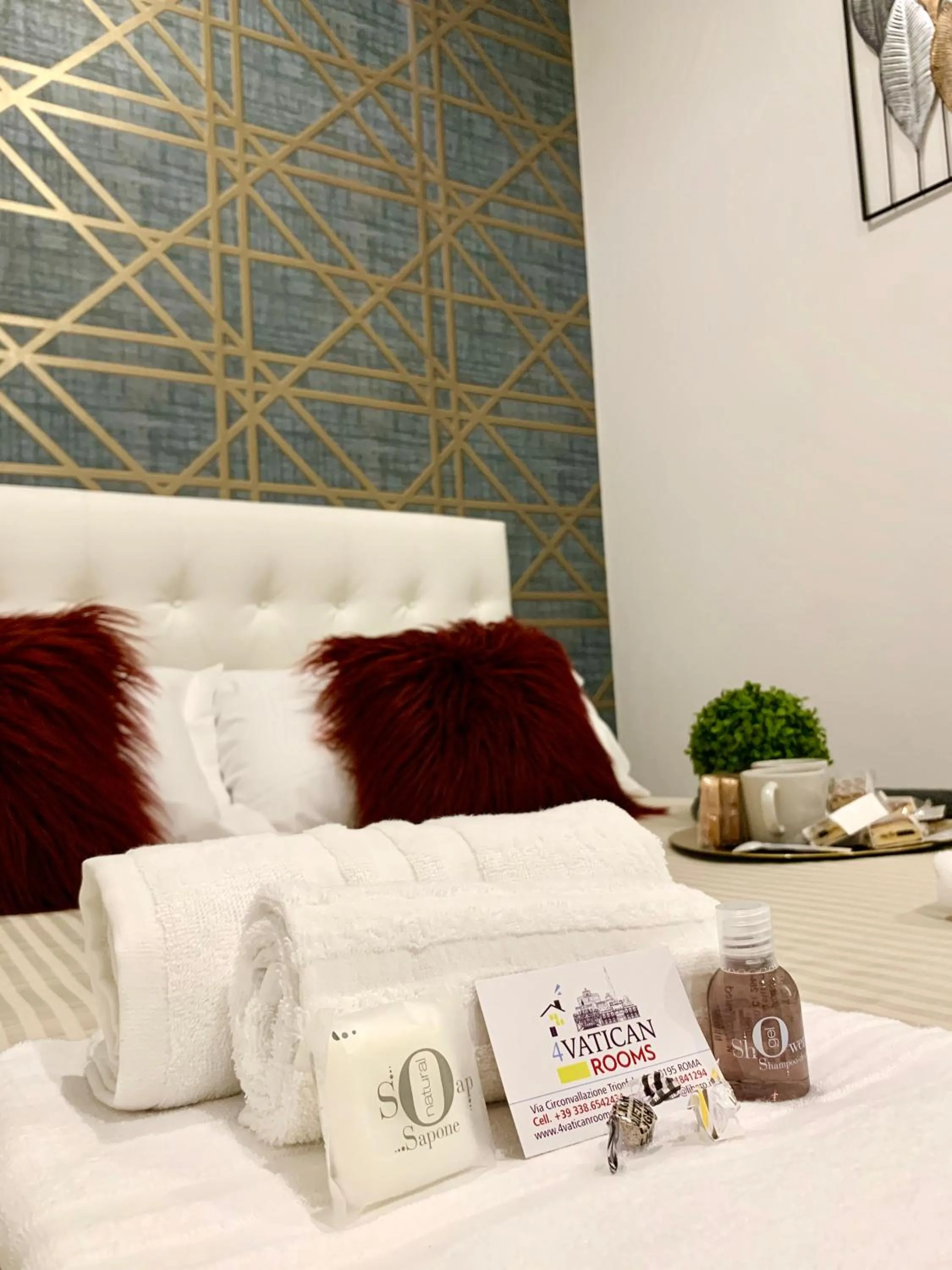 Double Room in 4 Vatican Rooms