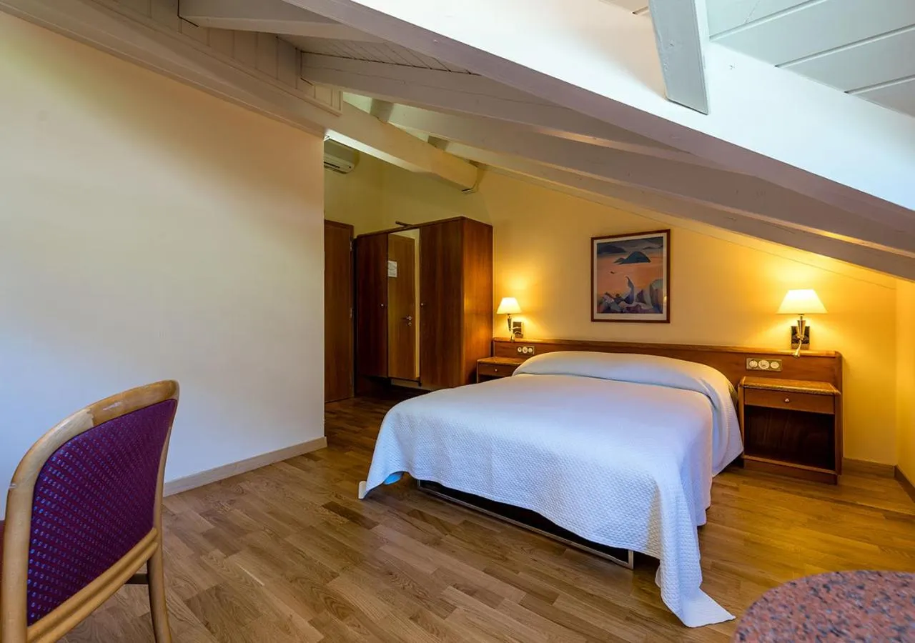 Attic Double Room in Hôtel des Bains de Saillon