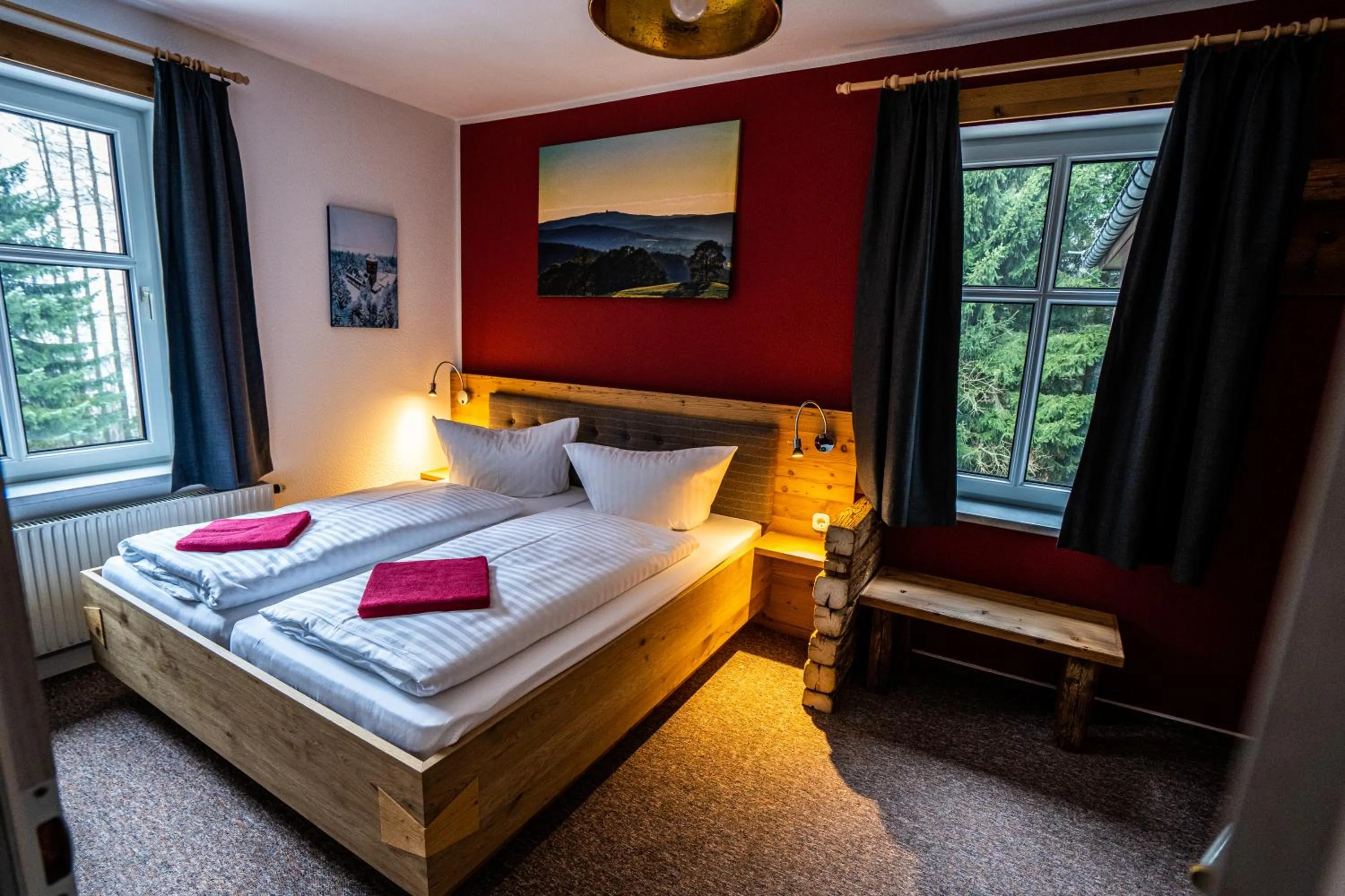Double Room - single occupancy in Berghotel Bärenstein
