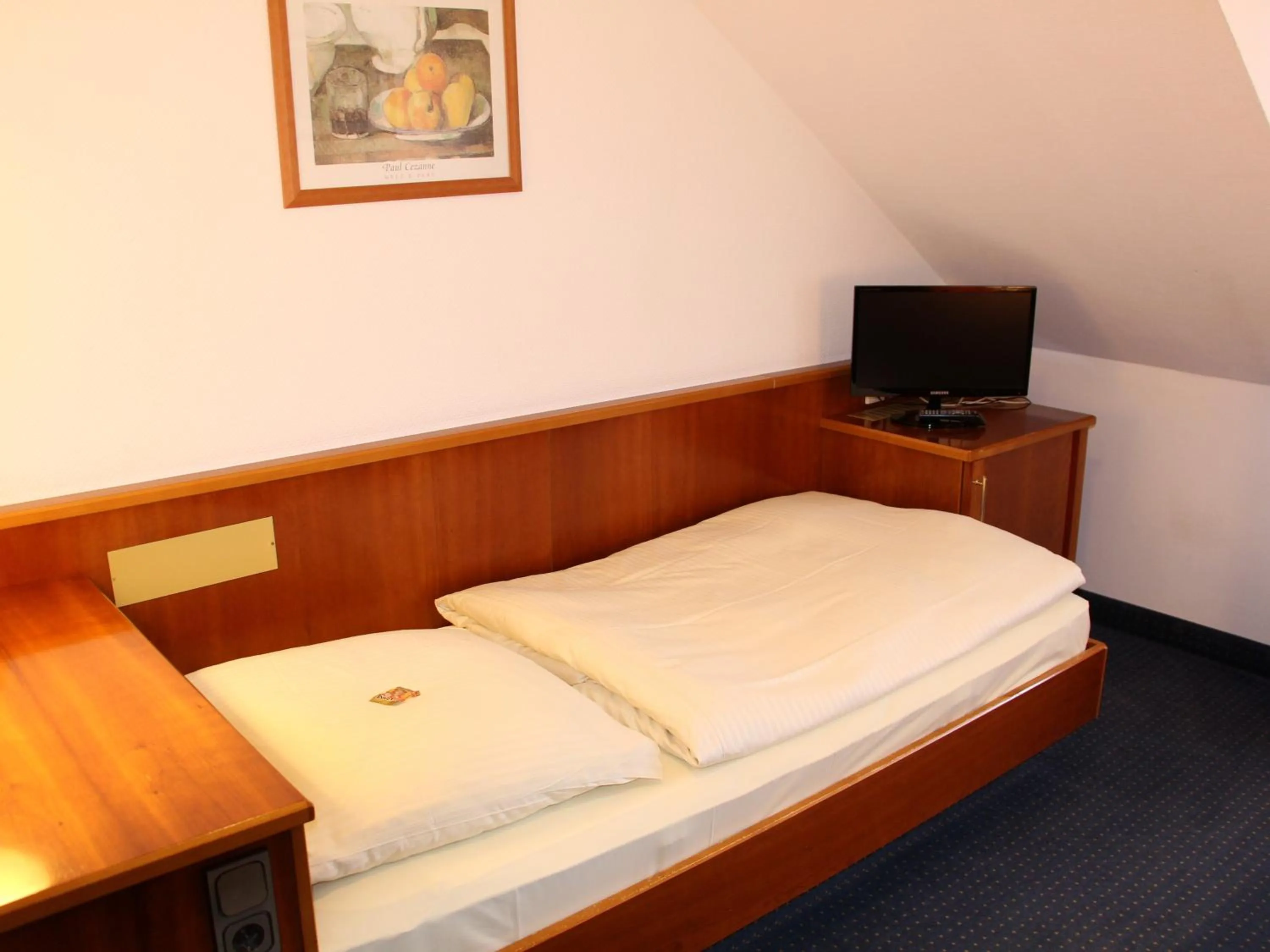 Standard Single Room - single occupancy in City Hotel Stuttgart