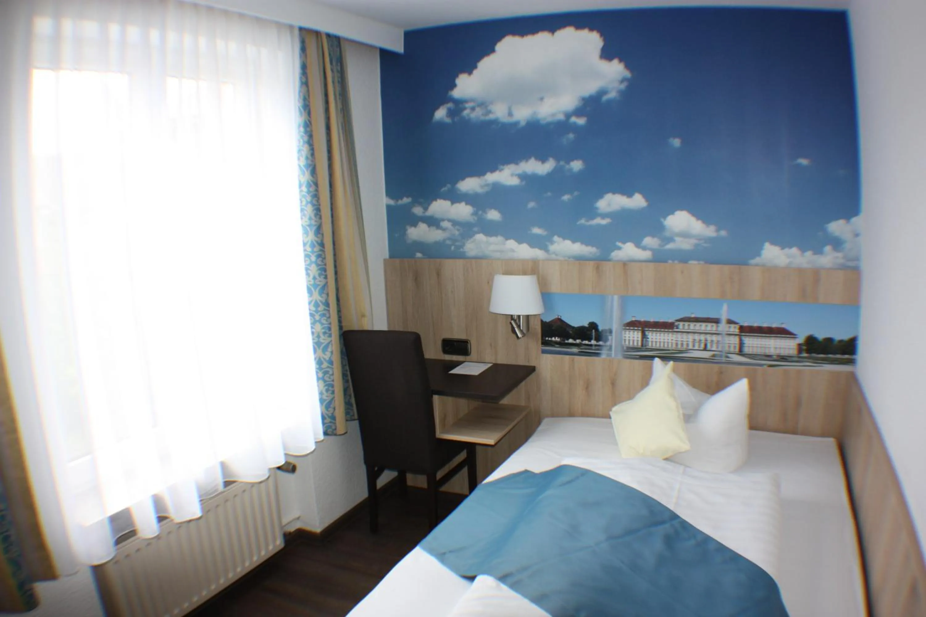 Single Room - single occupancy in Hotel Blauer Karpfen