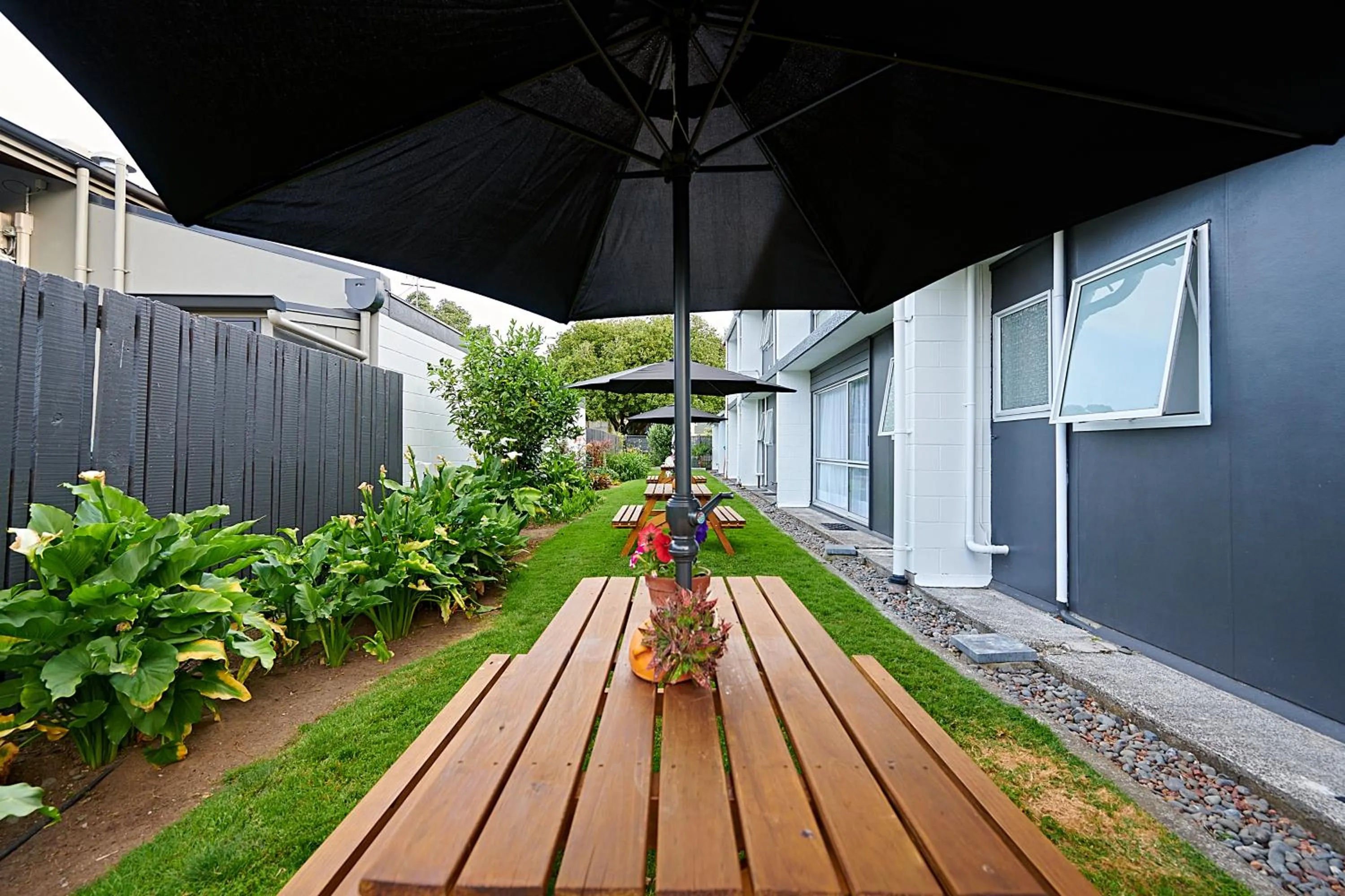 One-Bedroom Apartment in Roselands Motel