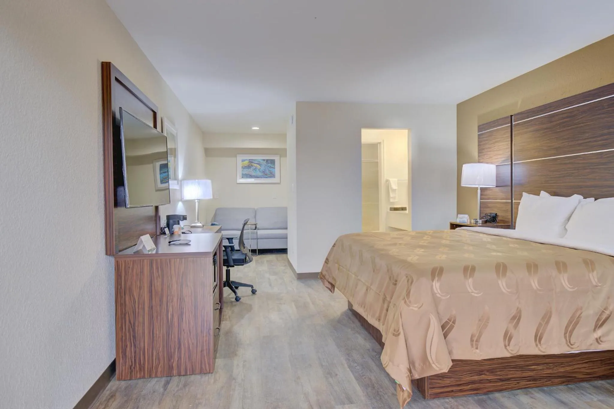 Deluxe King Suite in Quality Inn & Suites