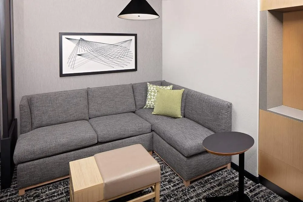 One-Bedroom King Suite with Sofa Bed in Hyatt Place Murfreesboro