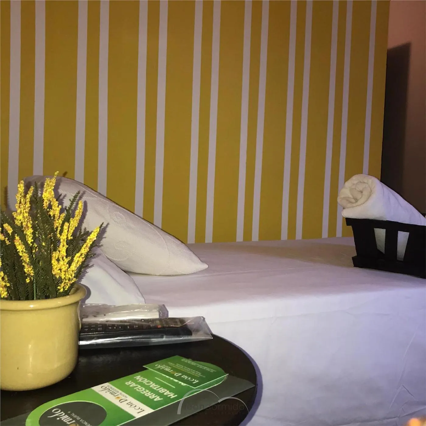 Double or Twin Room in Hostal León Dormido