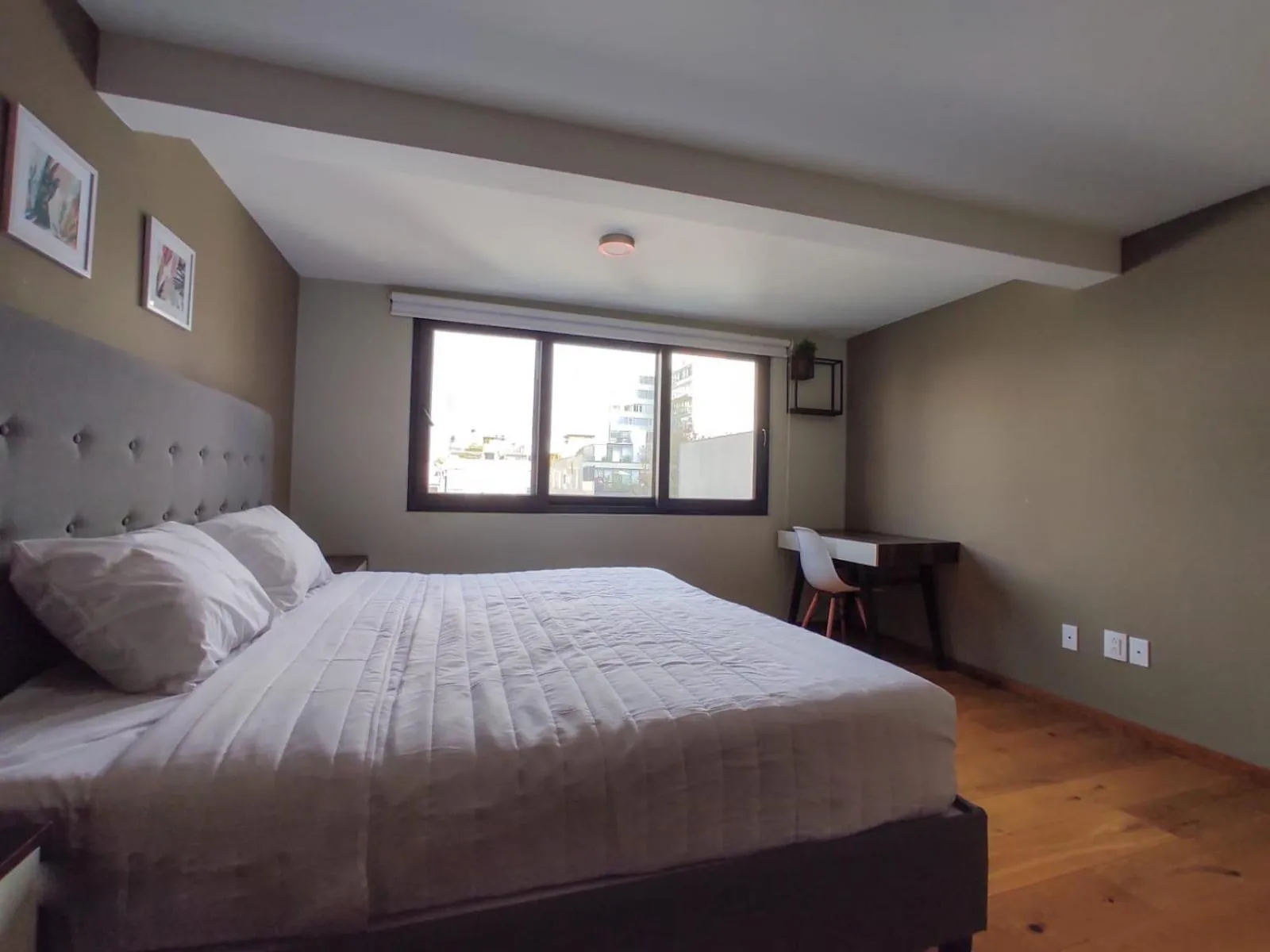 King Suite in Singular Sócrates