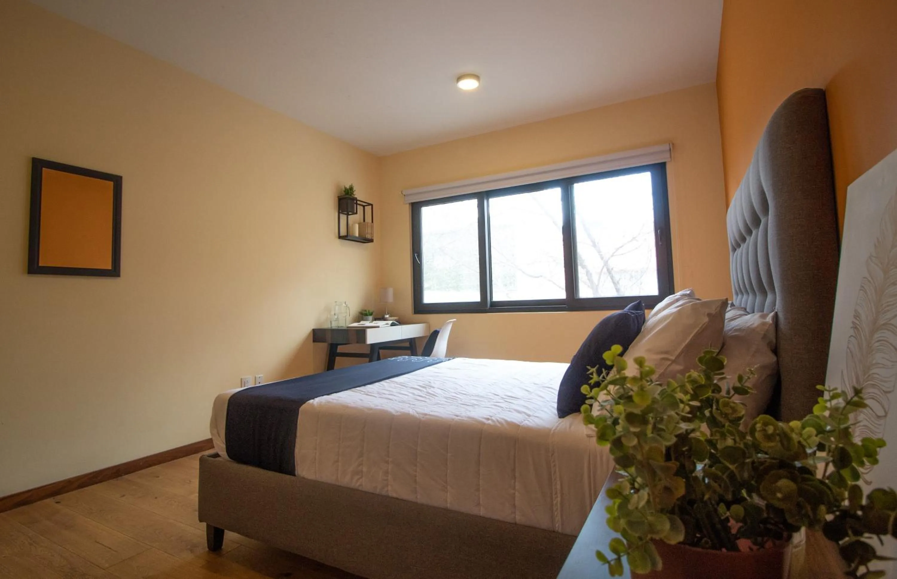 Standard Double Room with Shared Bathroom in Singular Sócrates