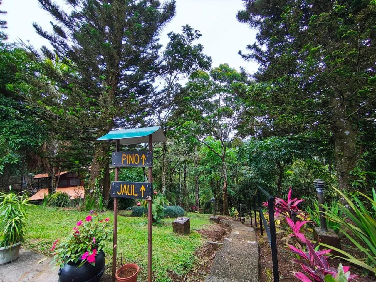 Standard Double Room - single occupancy in Ávita Lodge