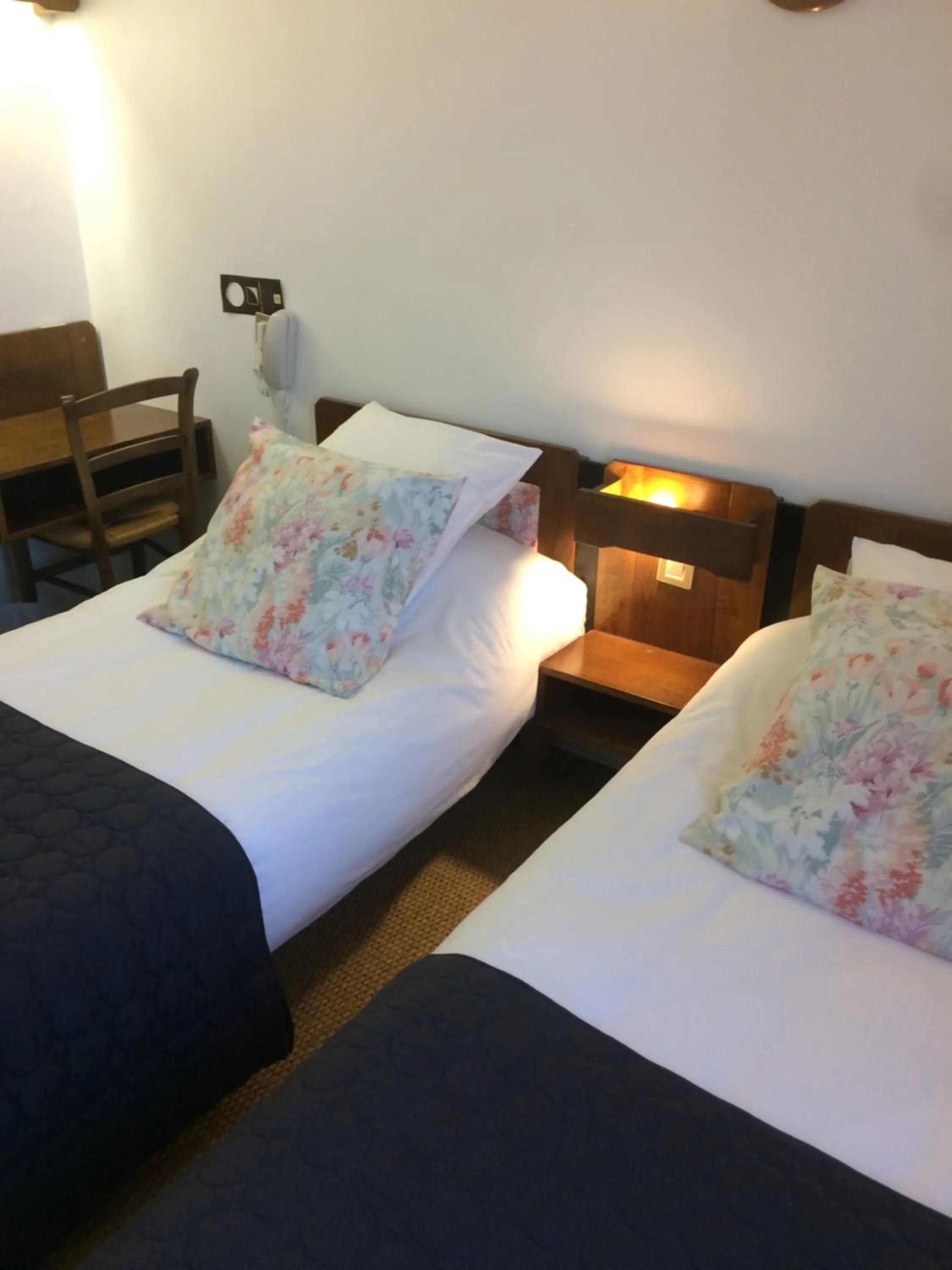 Twin Room in Logis Hôtel LE DAHU