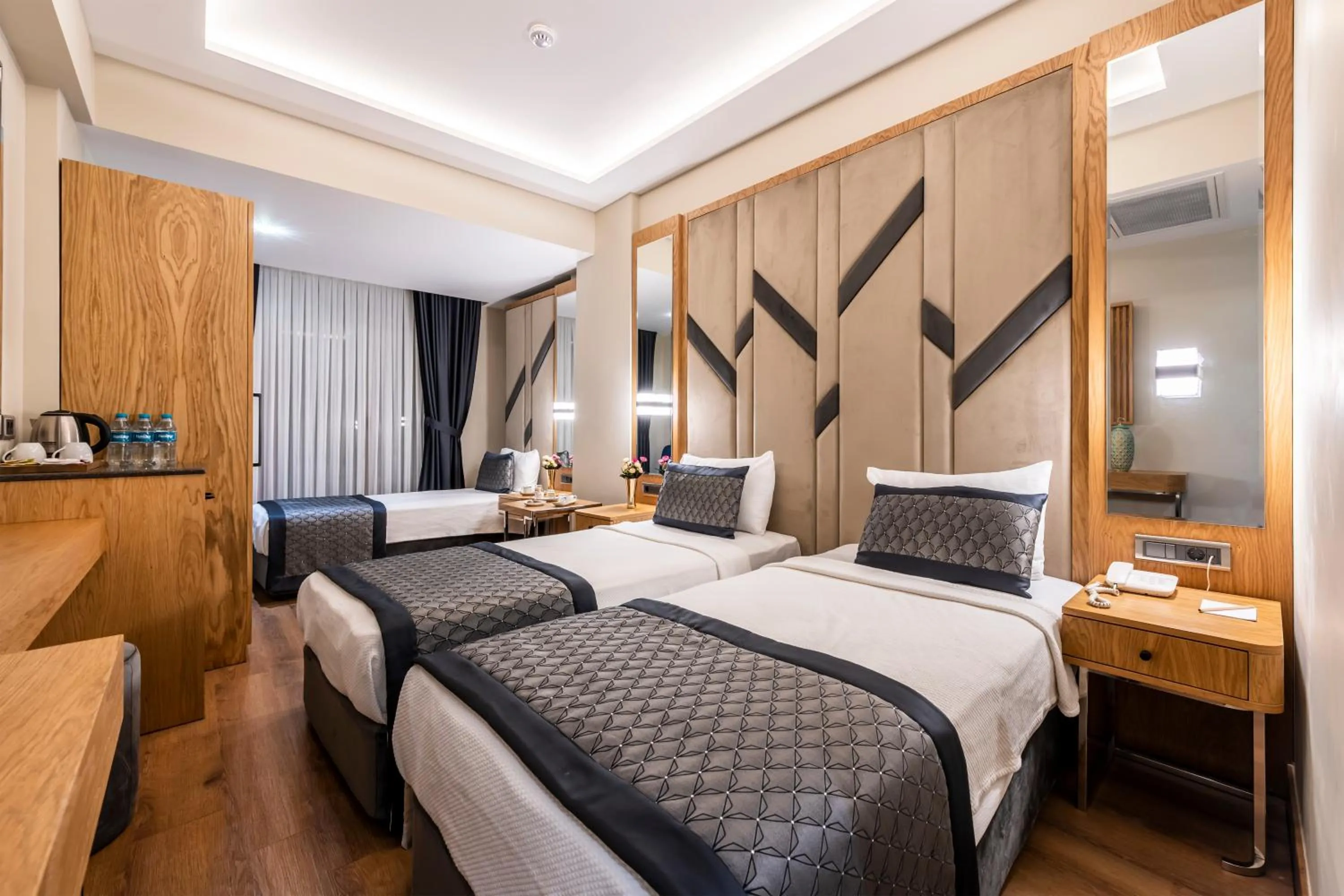 Triple Room - single occupancy in Endican Sultanahmet Hotel
