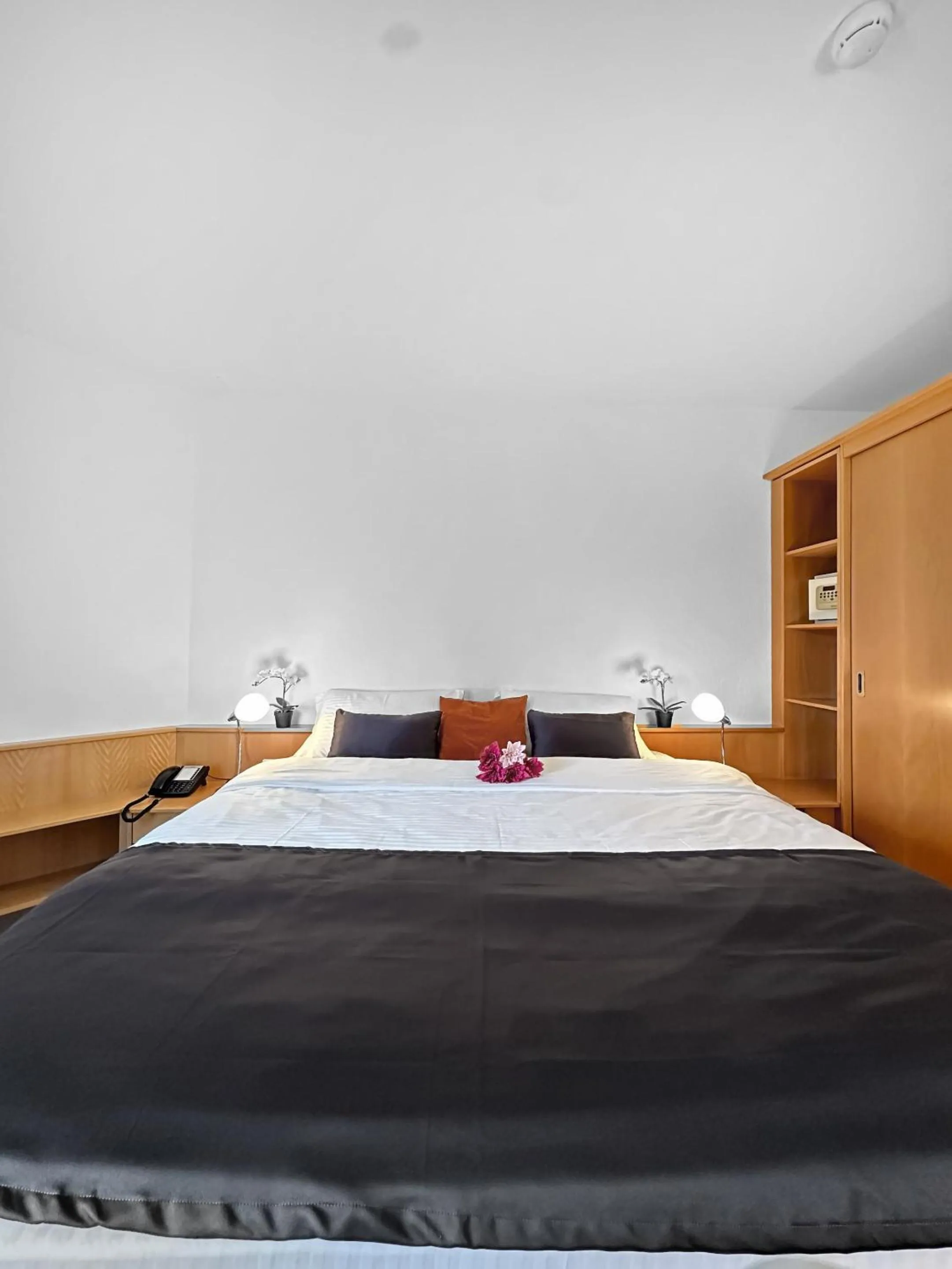 Small Double Room in Centra Hotel Zurich