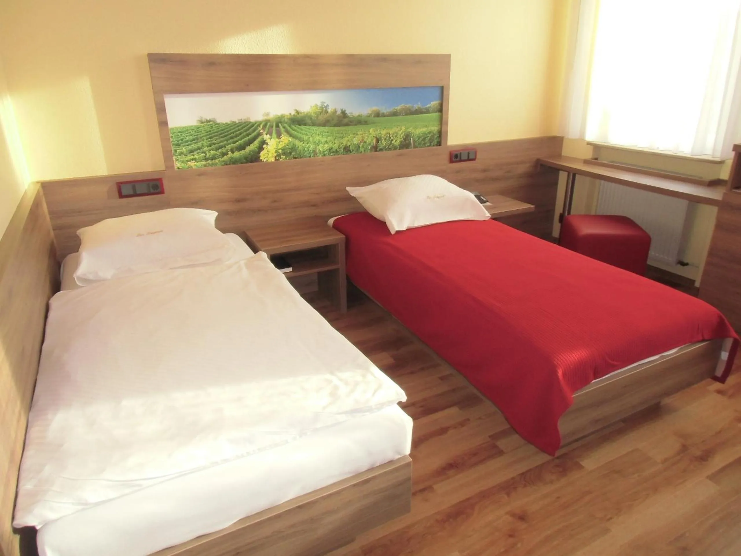 Standard Twin Room - single occupancy in Hotel-Gasthof Zum Freigericht