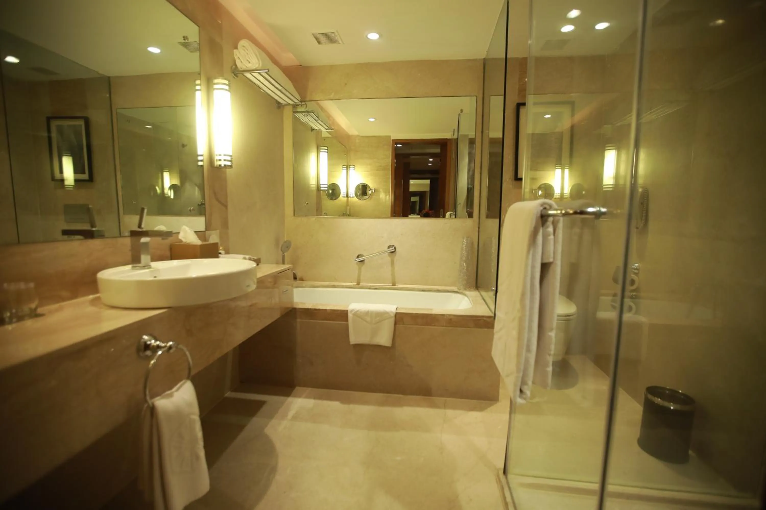 Premium Room Twin Bed - single occupancy in Taj Coromandel